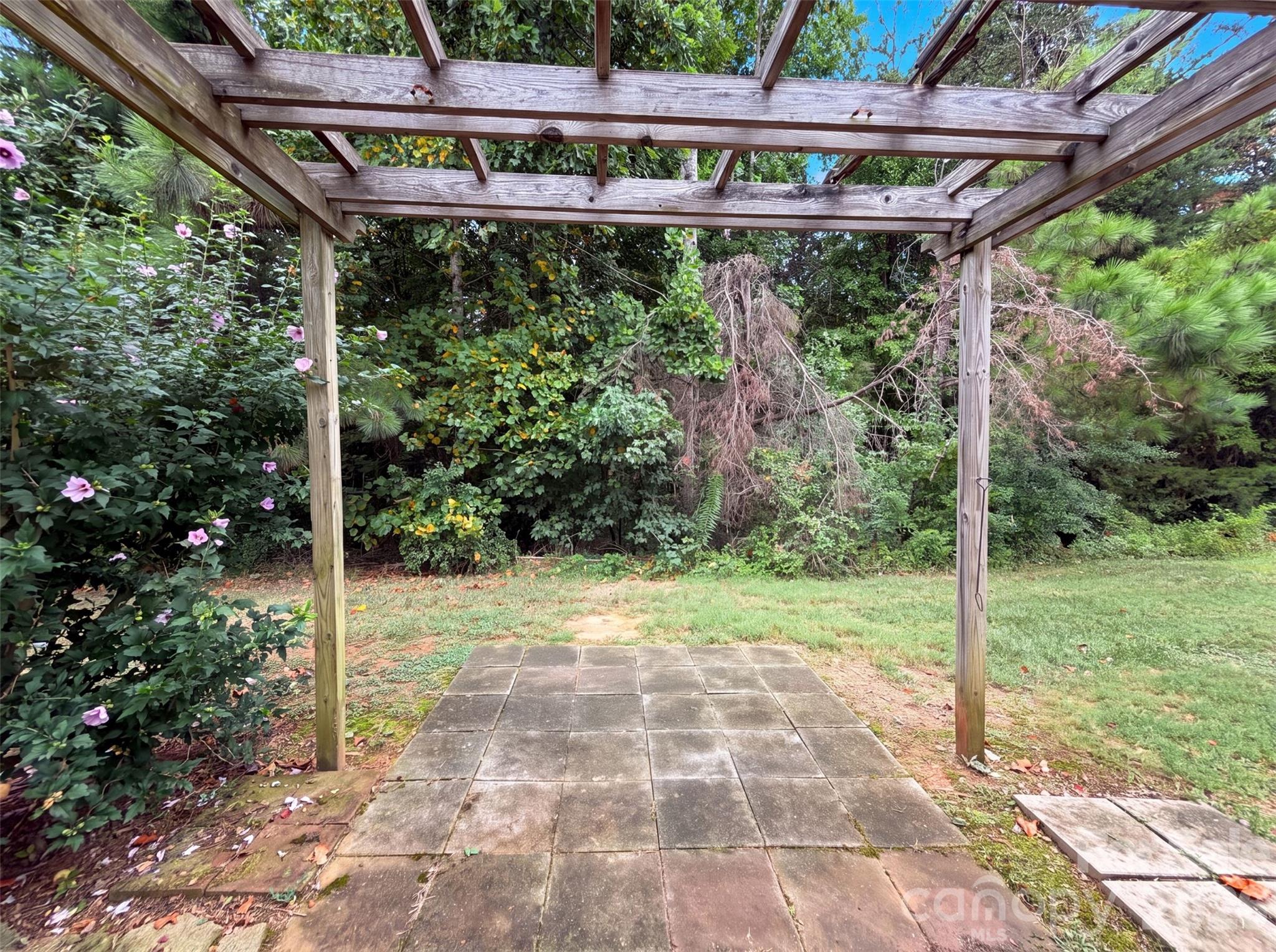 Image 15