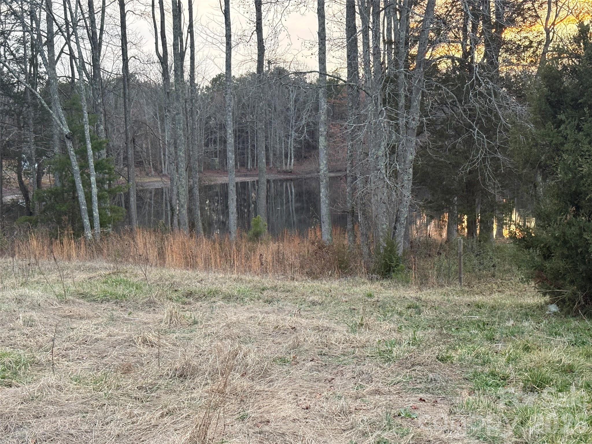 Image 14