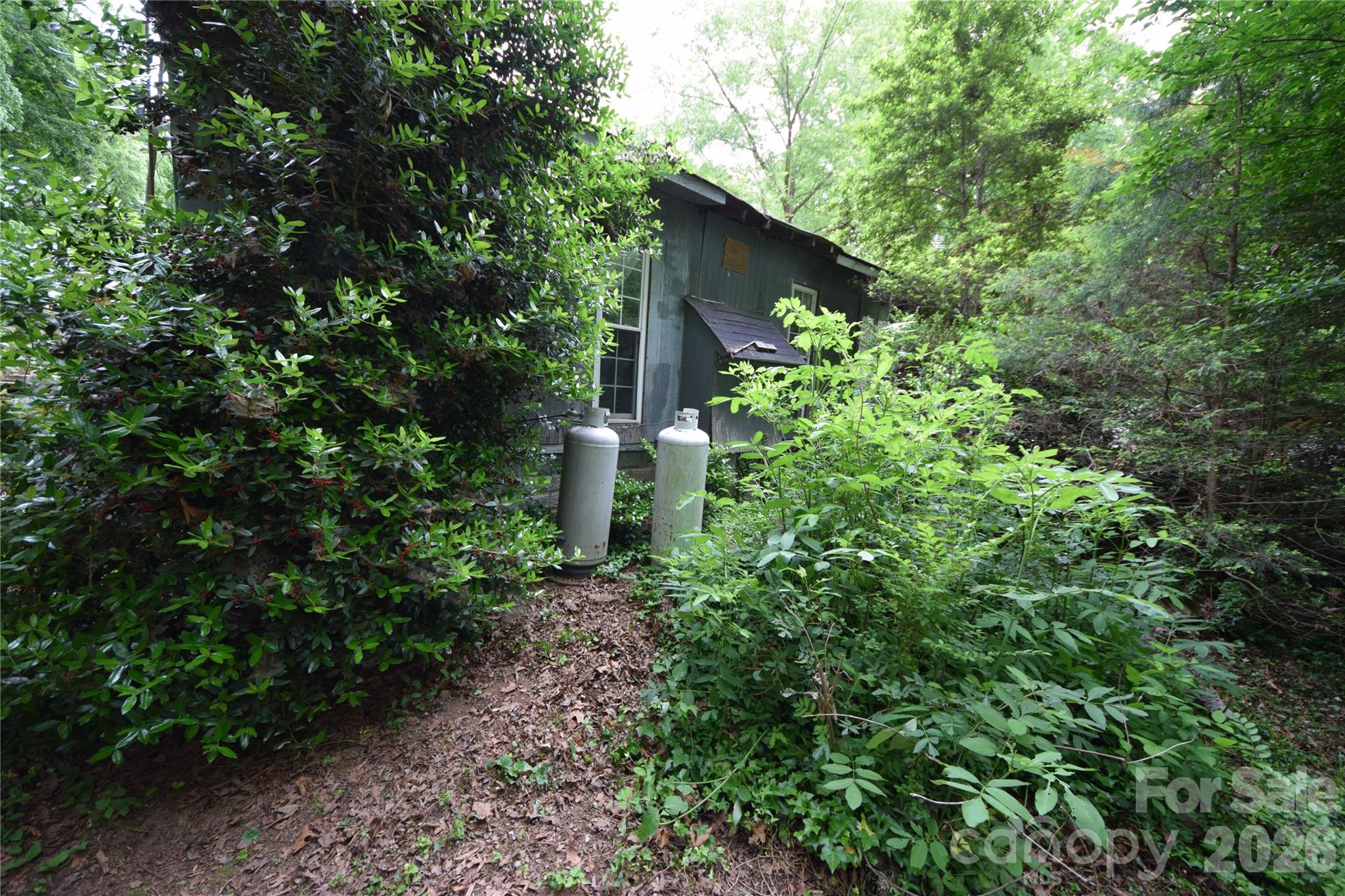 Image 14