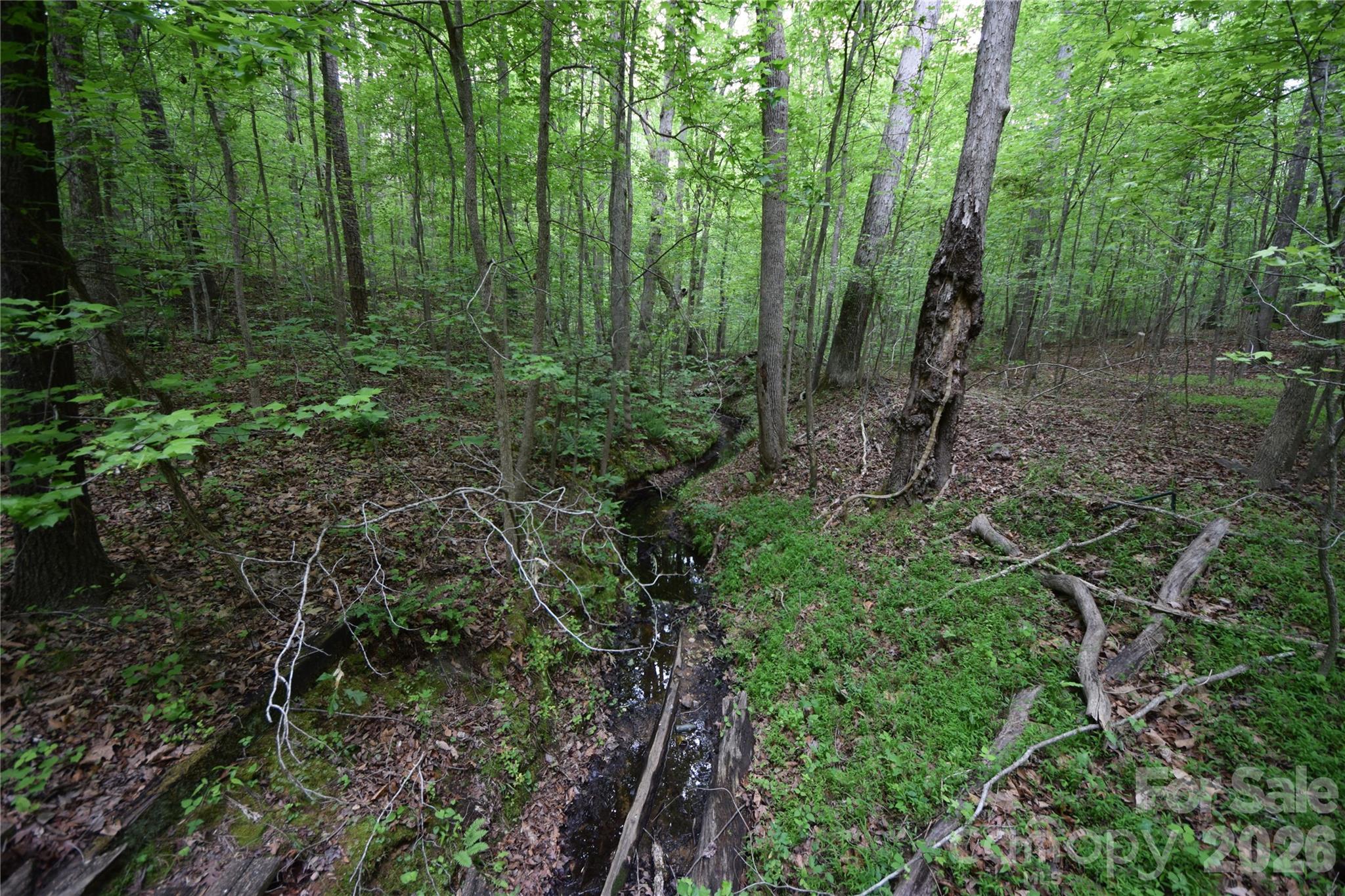 Image 23