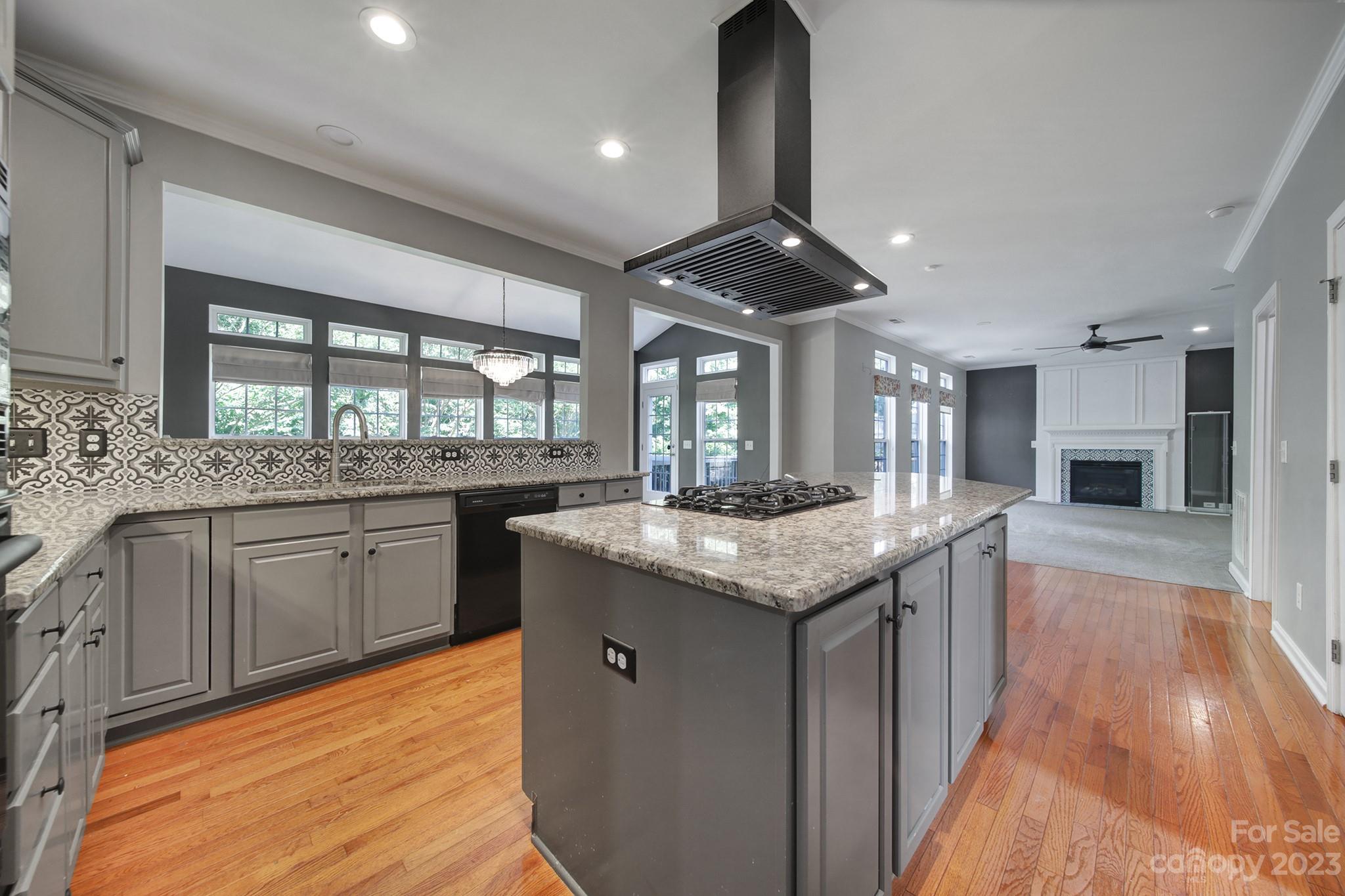 Image 13