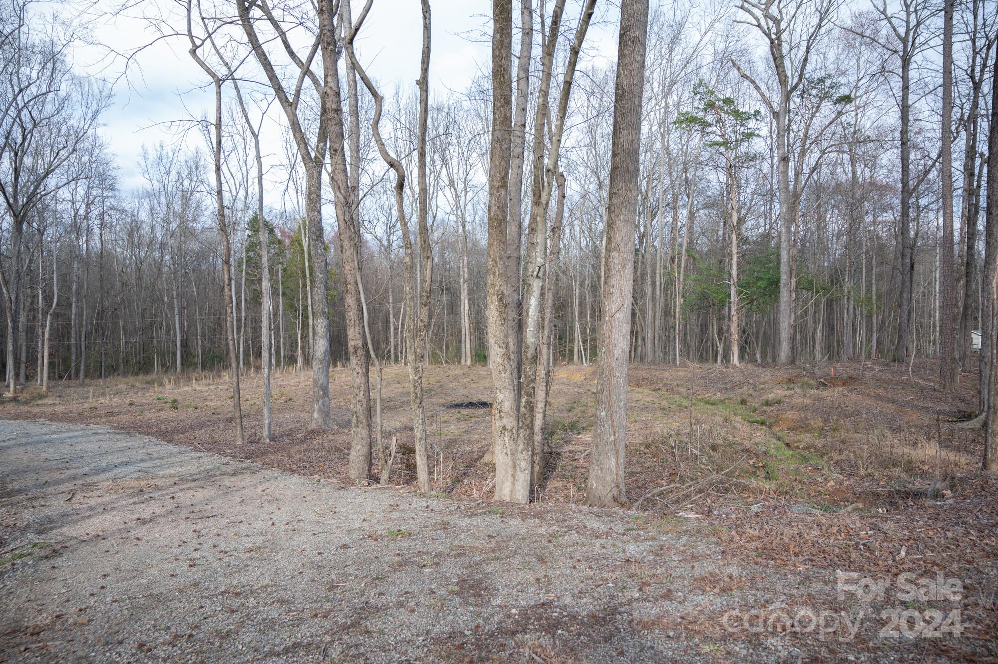 Image 33