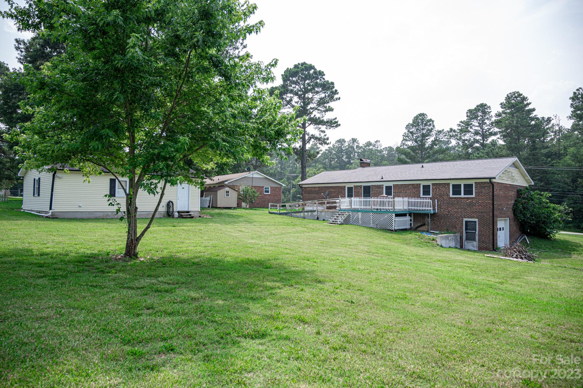 Image 19