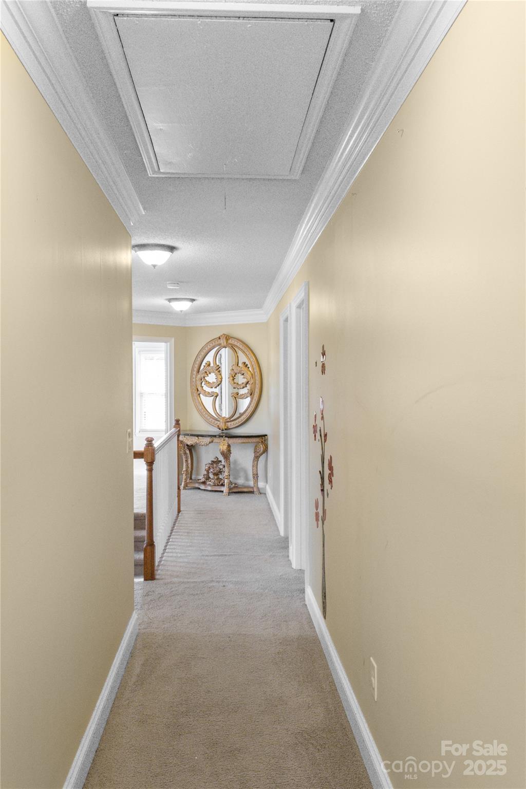 Image 21