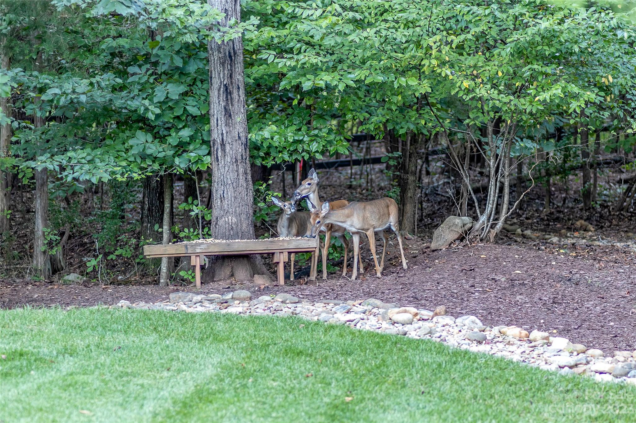 Image 48