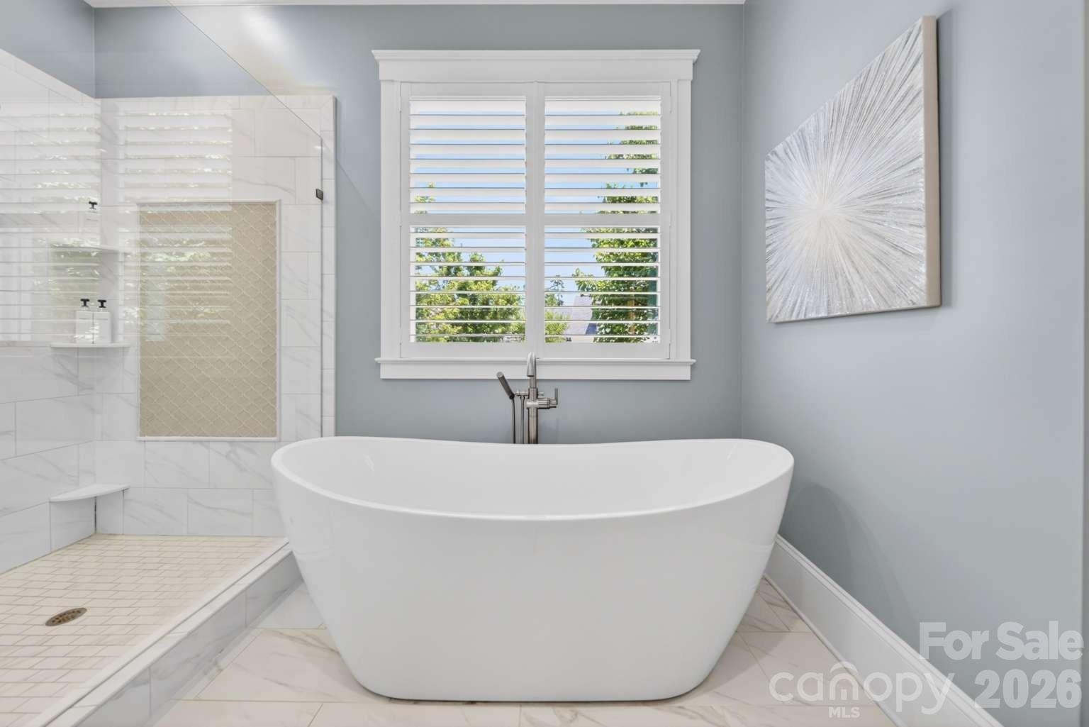 Image 24