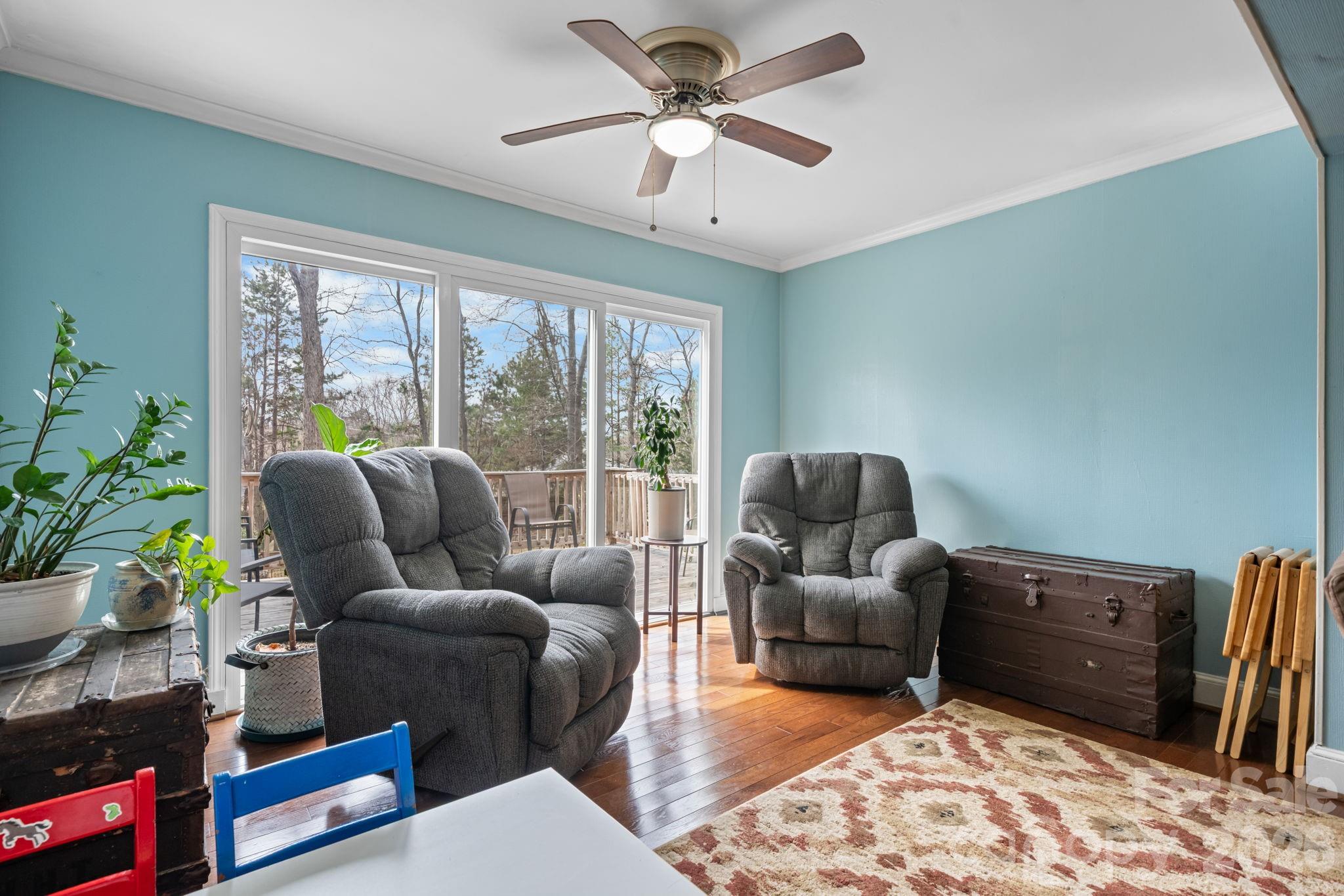 Image 15