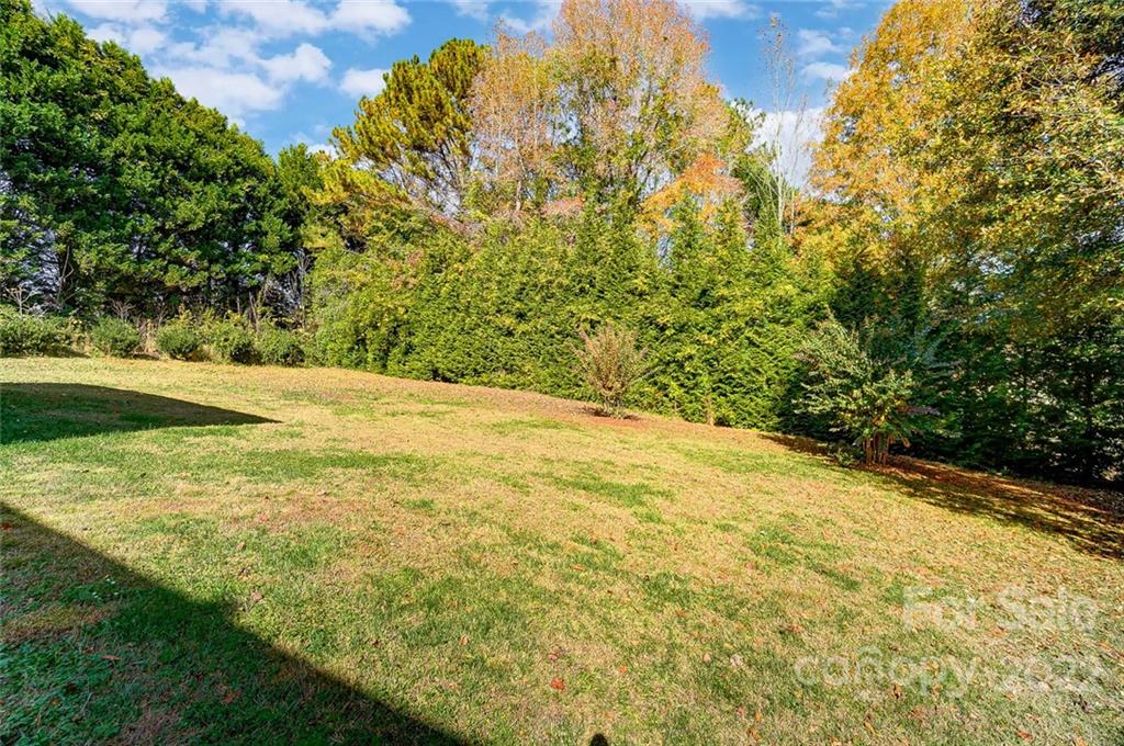 Image 35