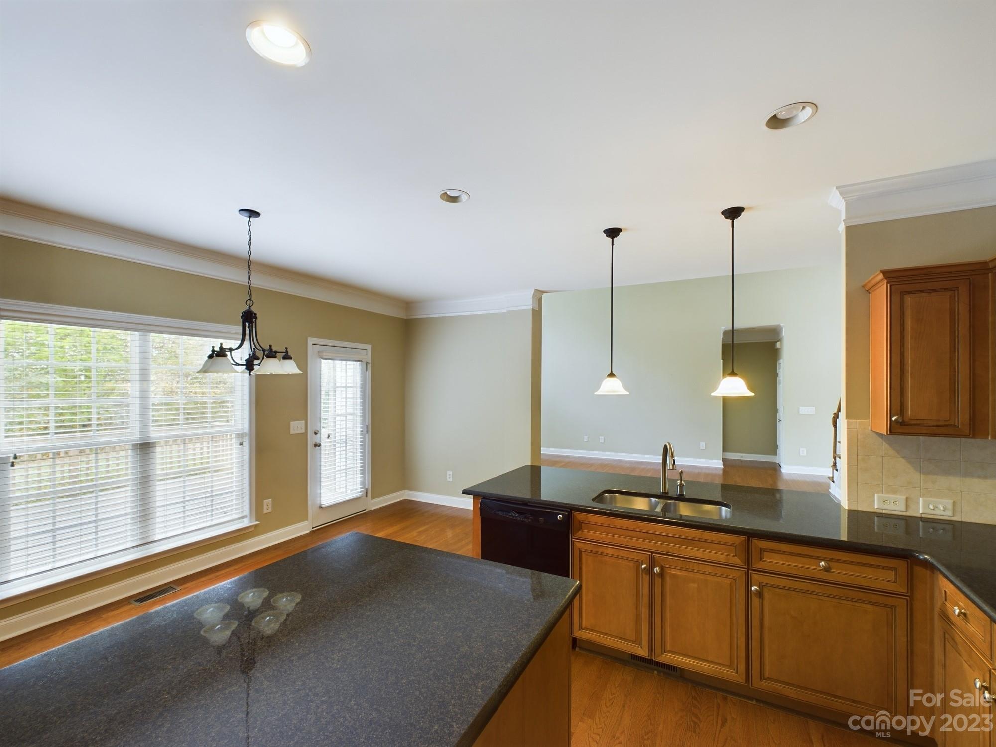 6042 Latta Springs Circle, Huntersville, NC 28078 MLS 4088388