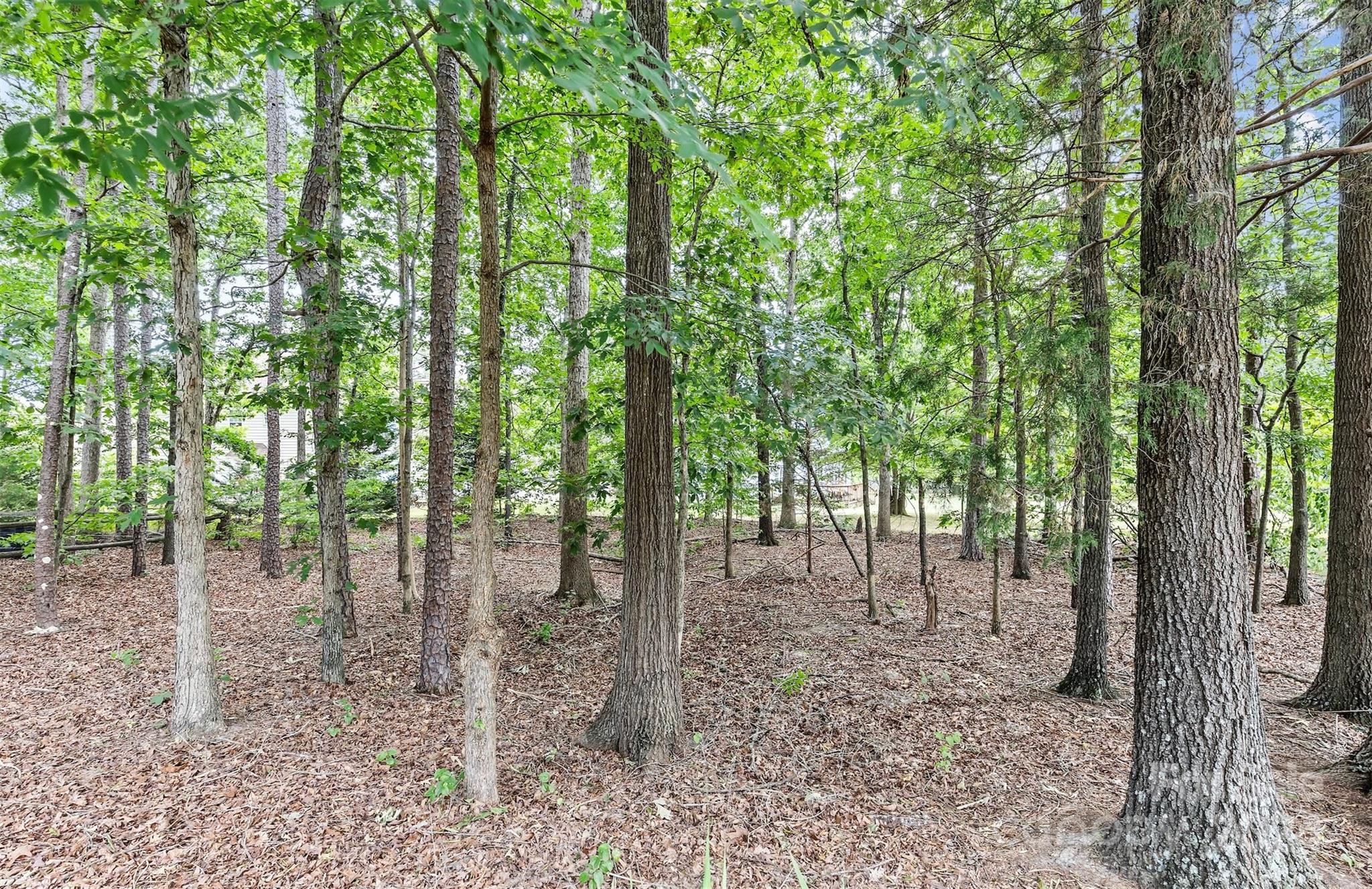 Image 38