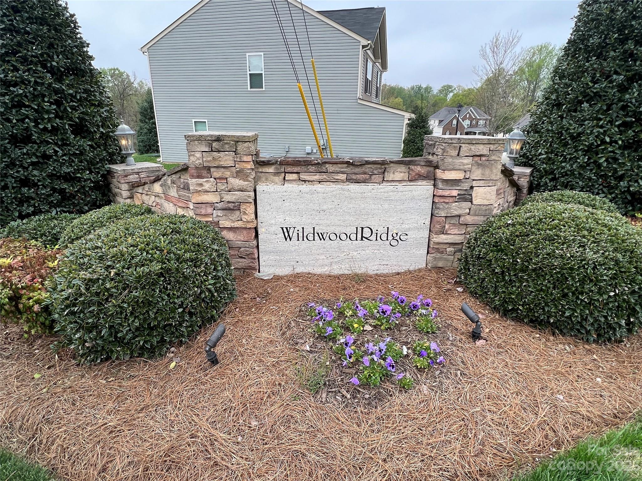 Image 22