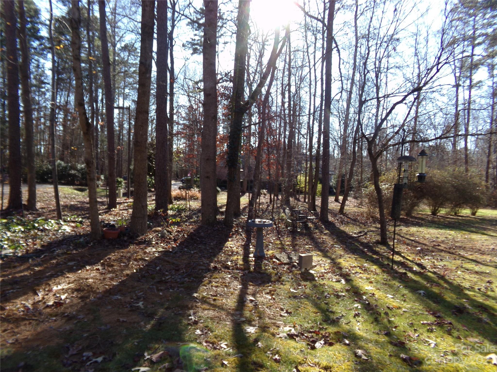 Property view 5