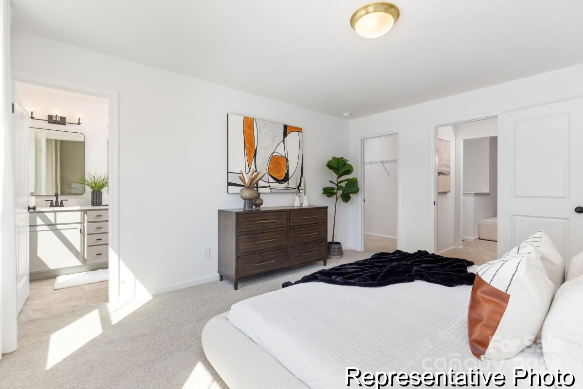 Image 16