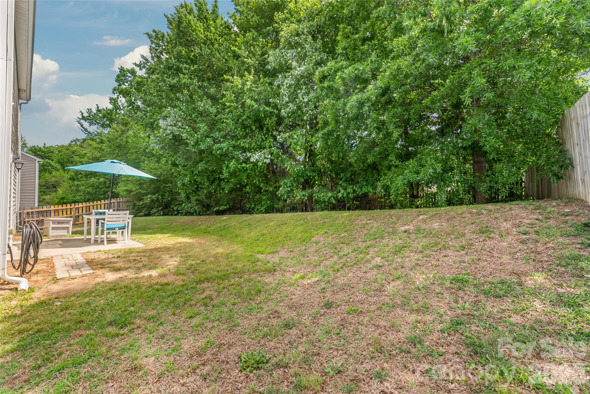 Image 23