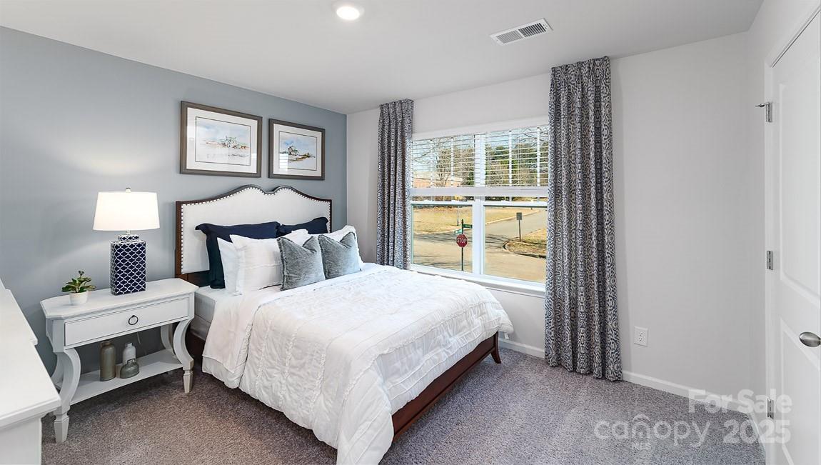 Image 29