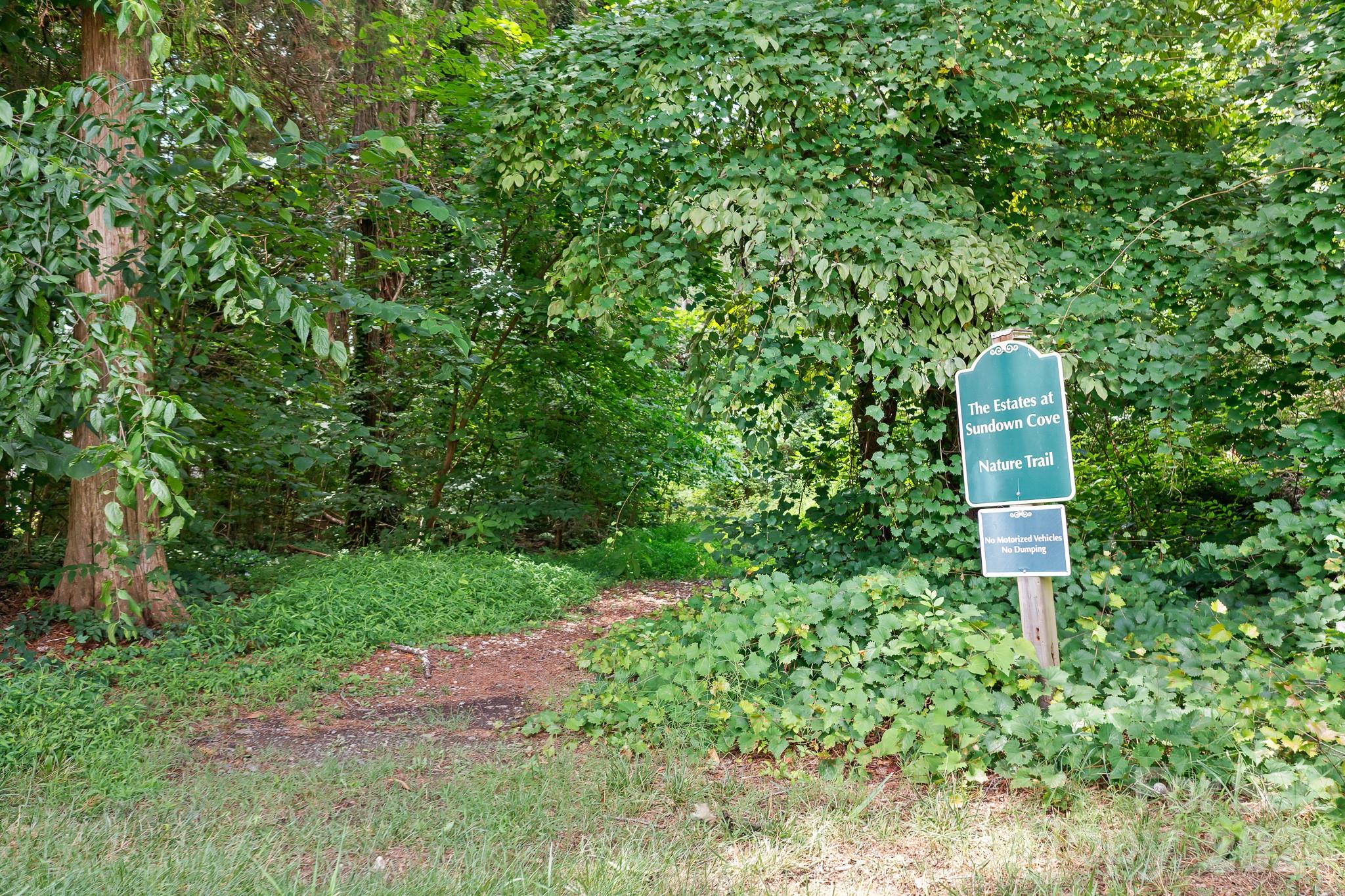 Image 43