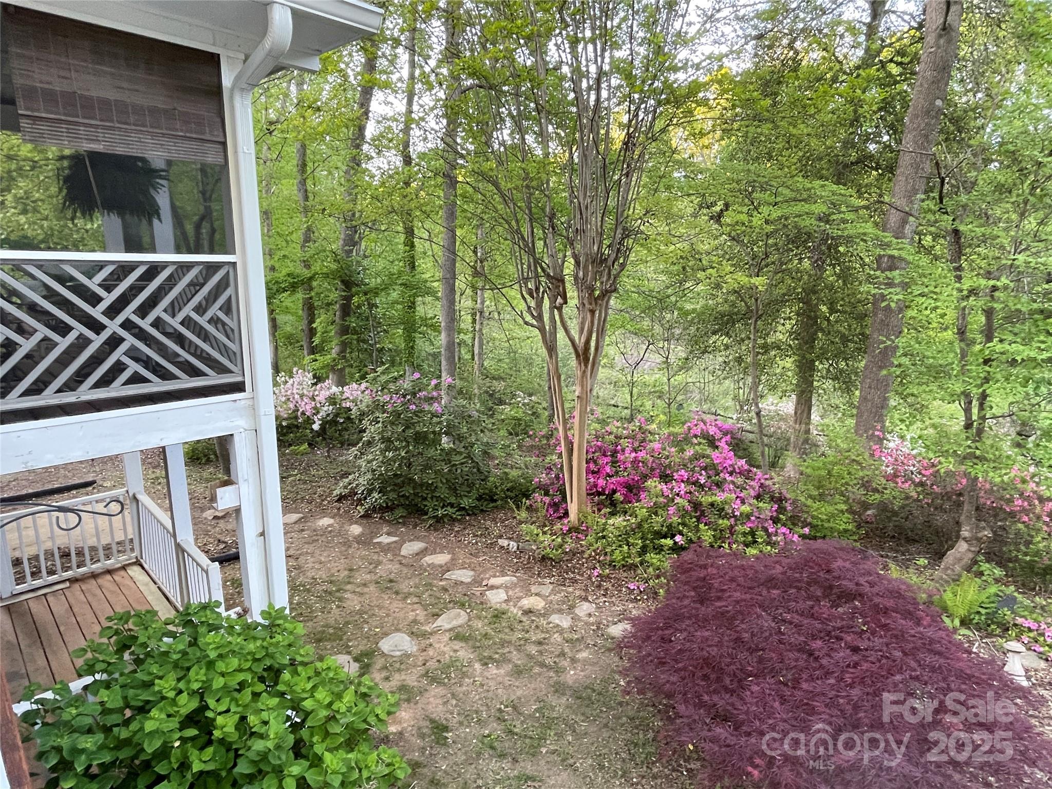 Image 13