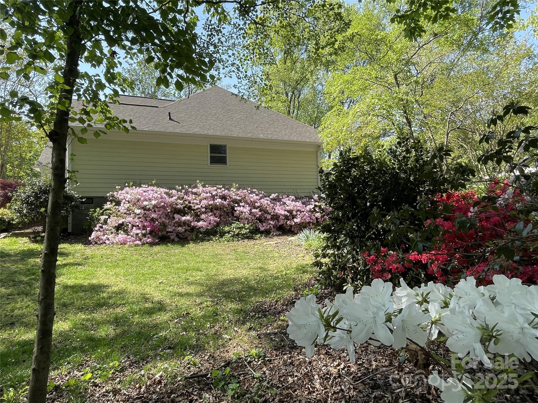 Image 21