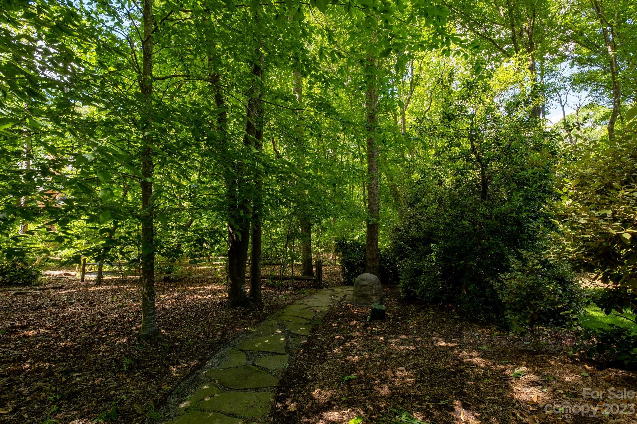 Image 31
