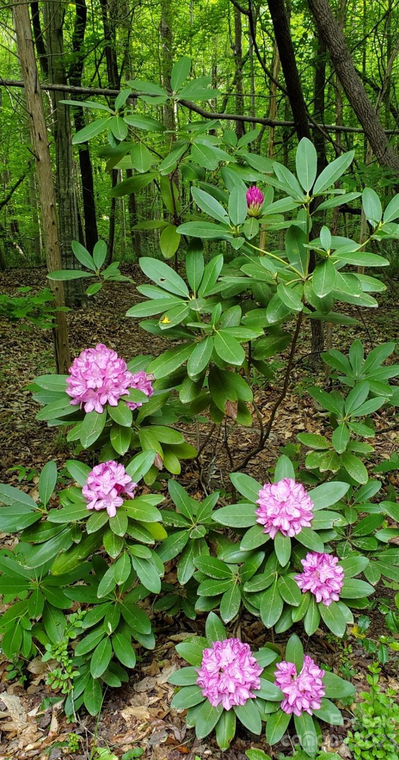Image 47