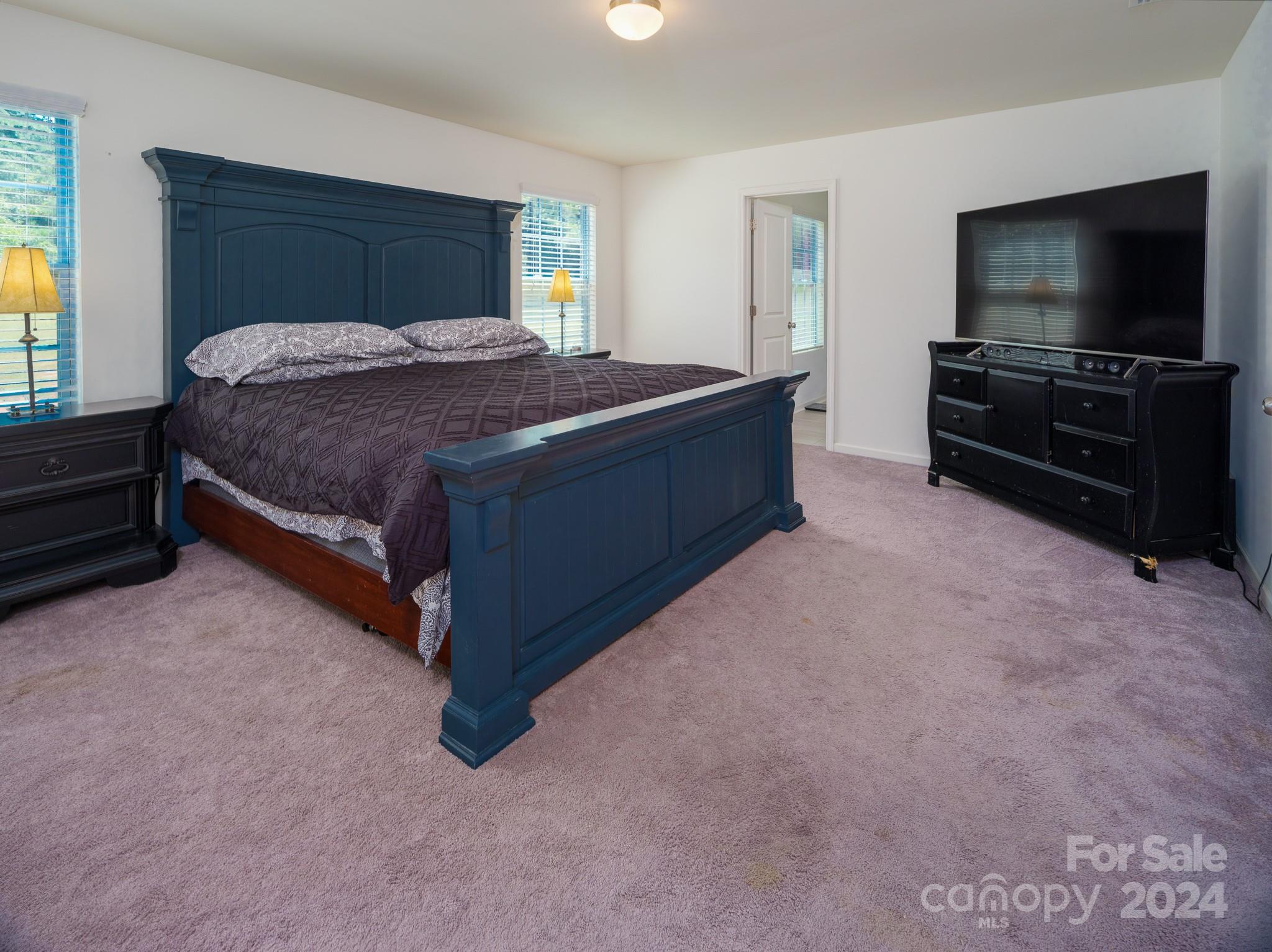 Image 29