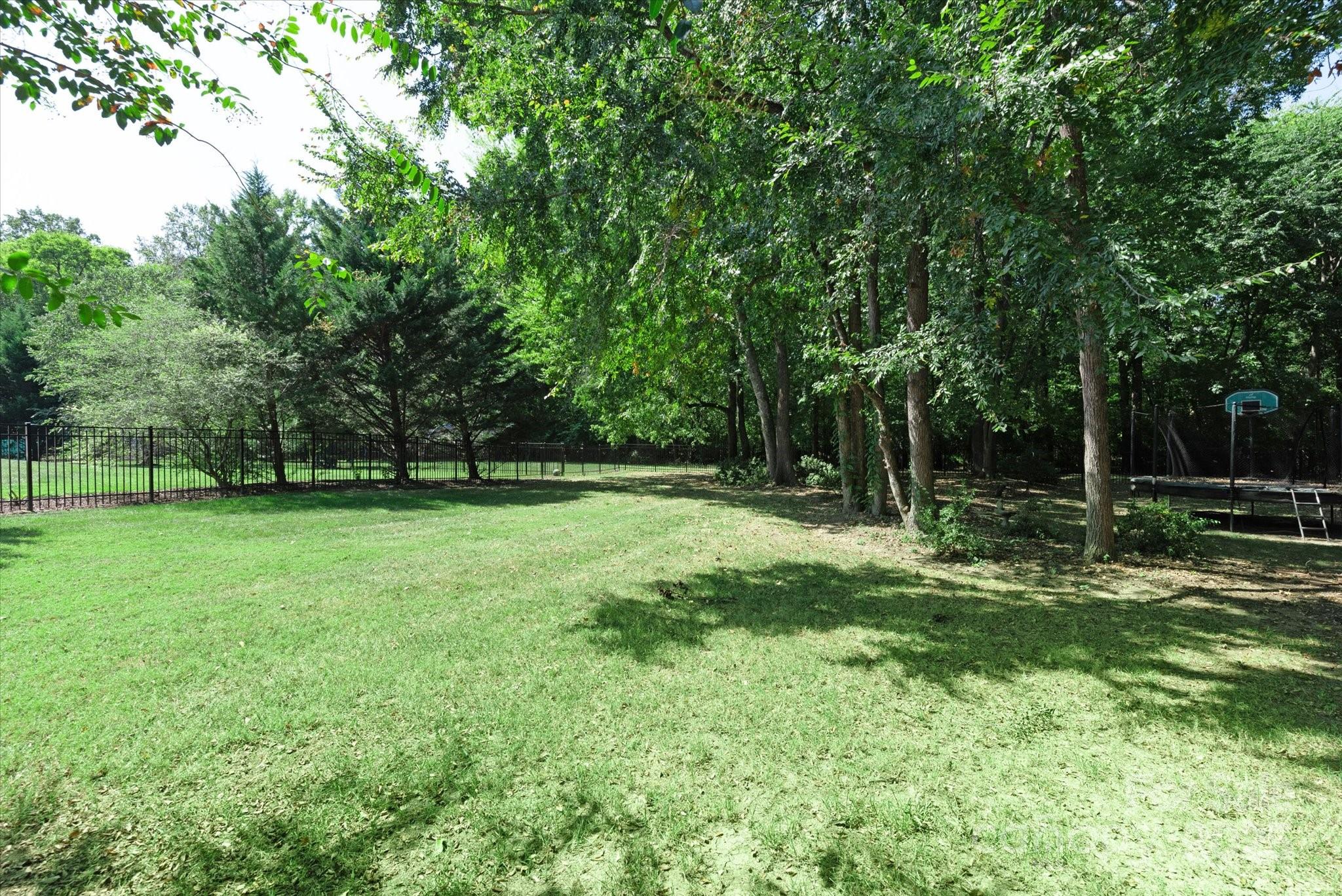 Image 38
