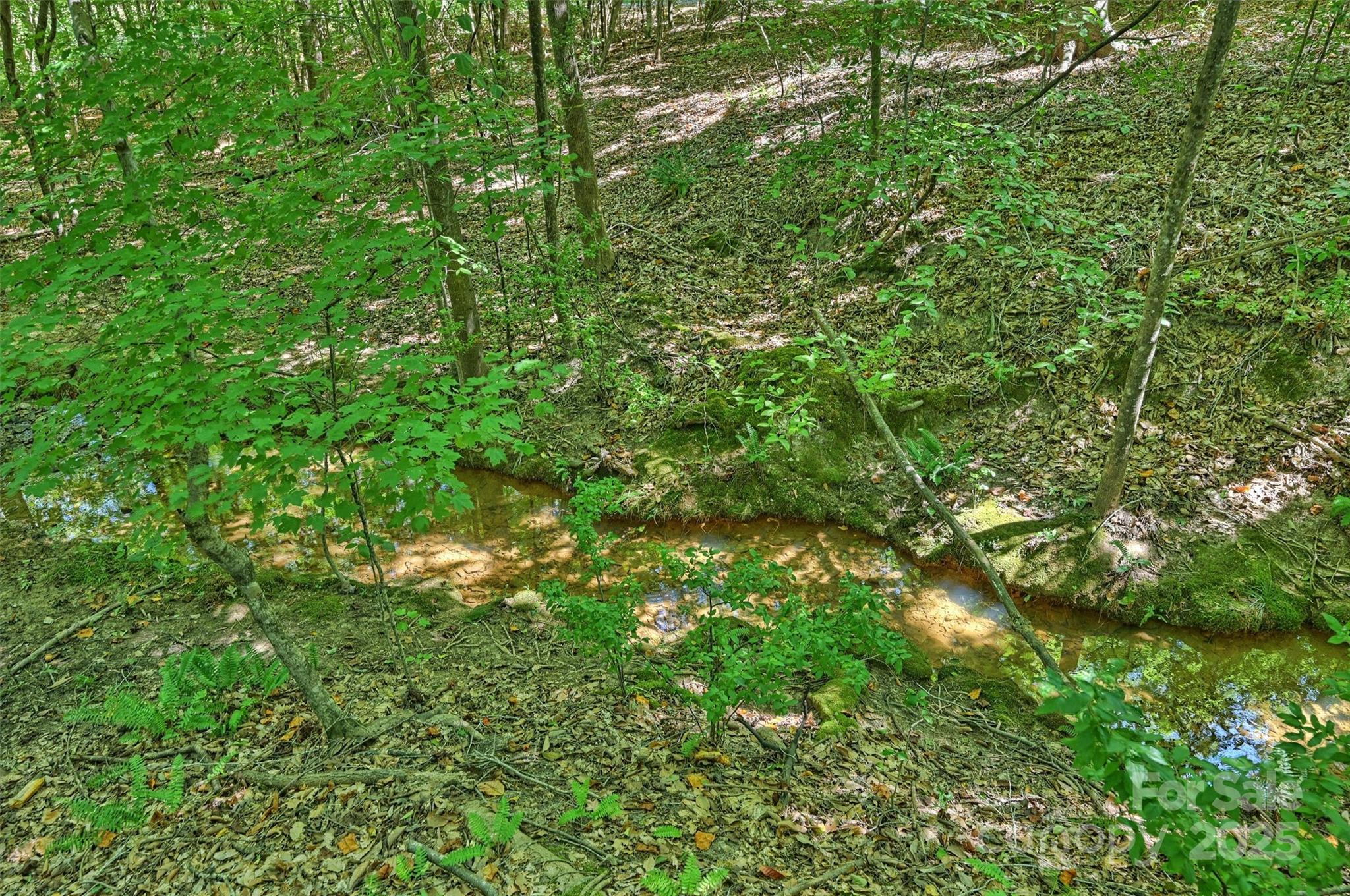 Image 40
