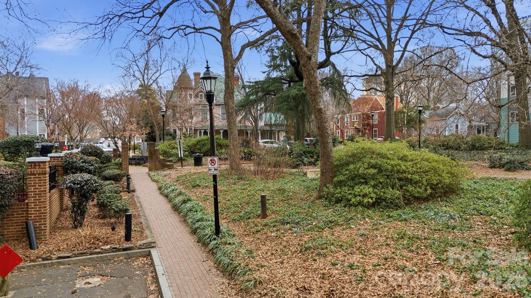 Image 15
