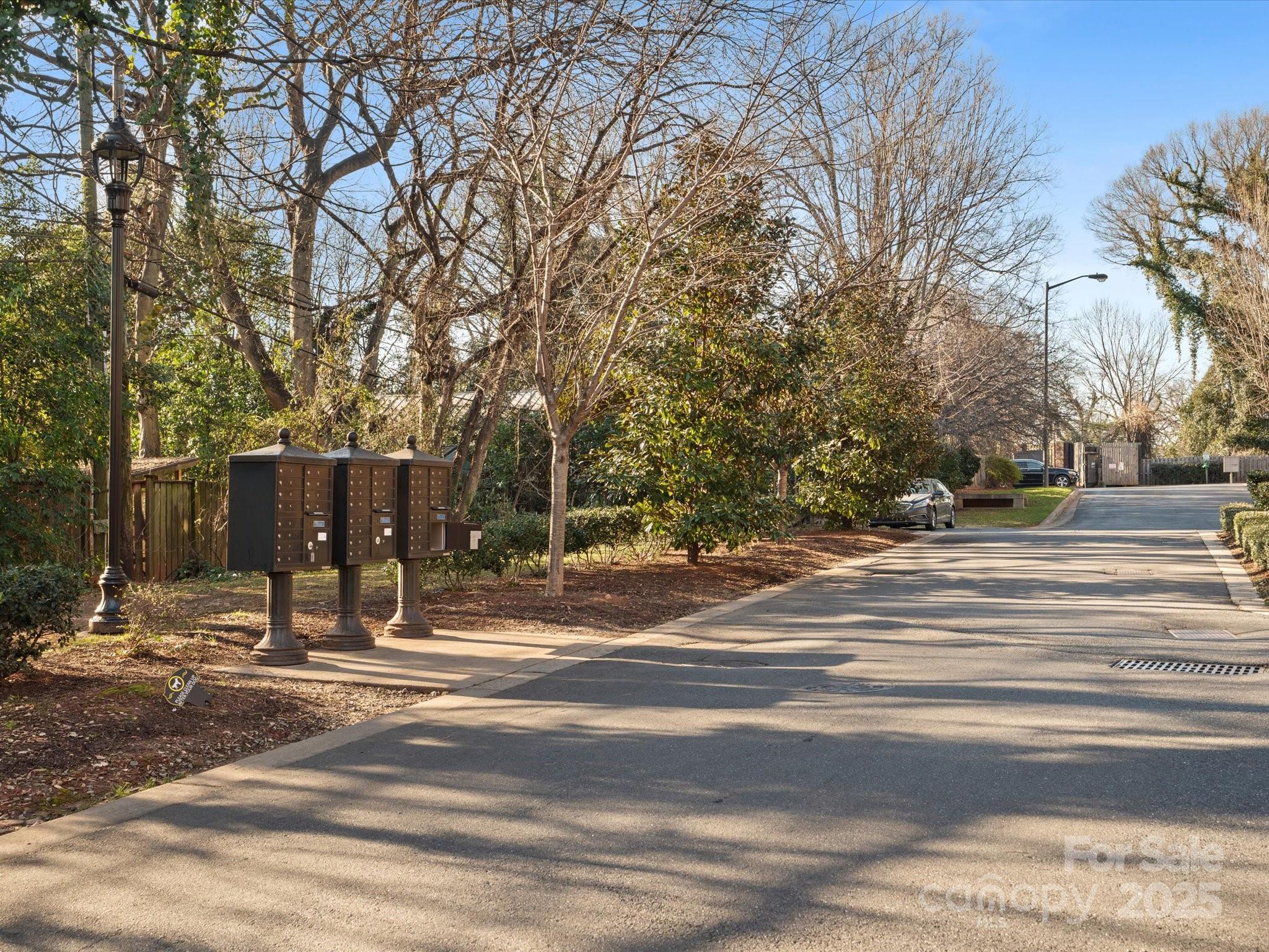 Image 40
