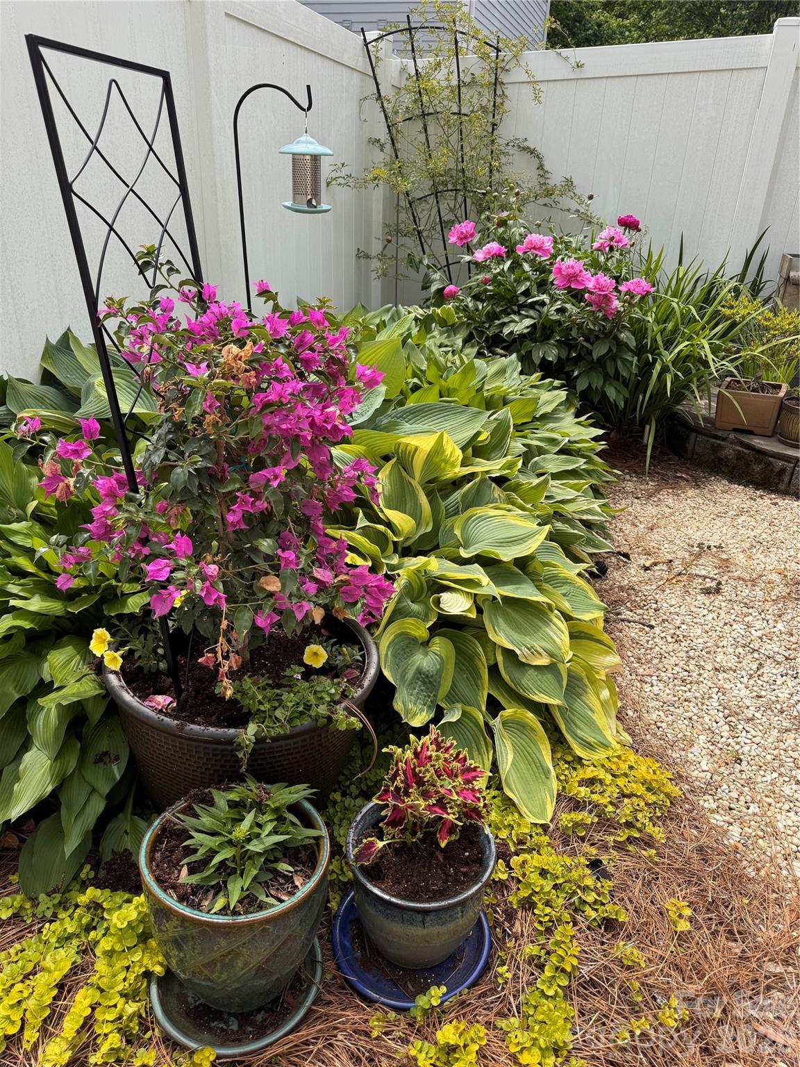 Image 14