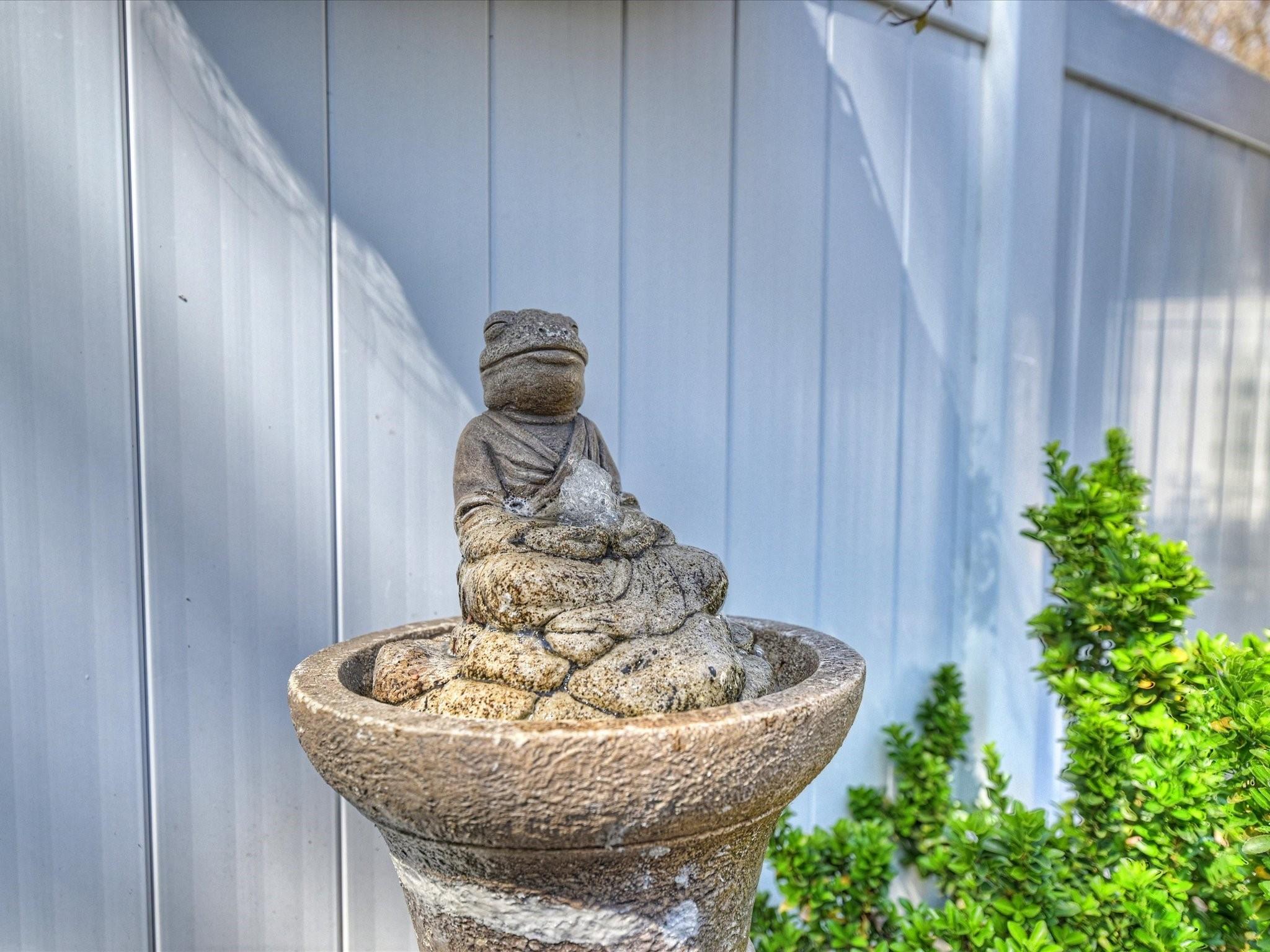 Image 31