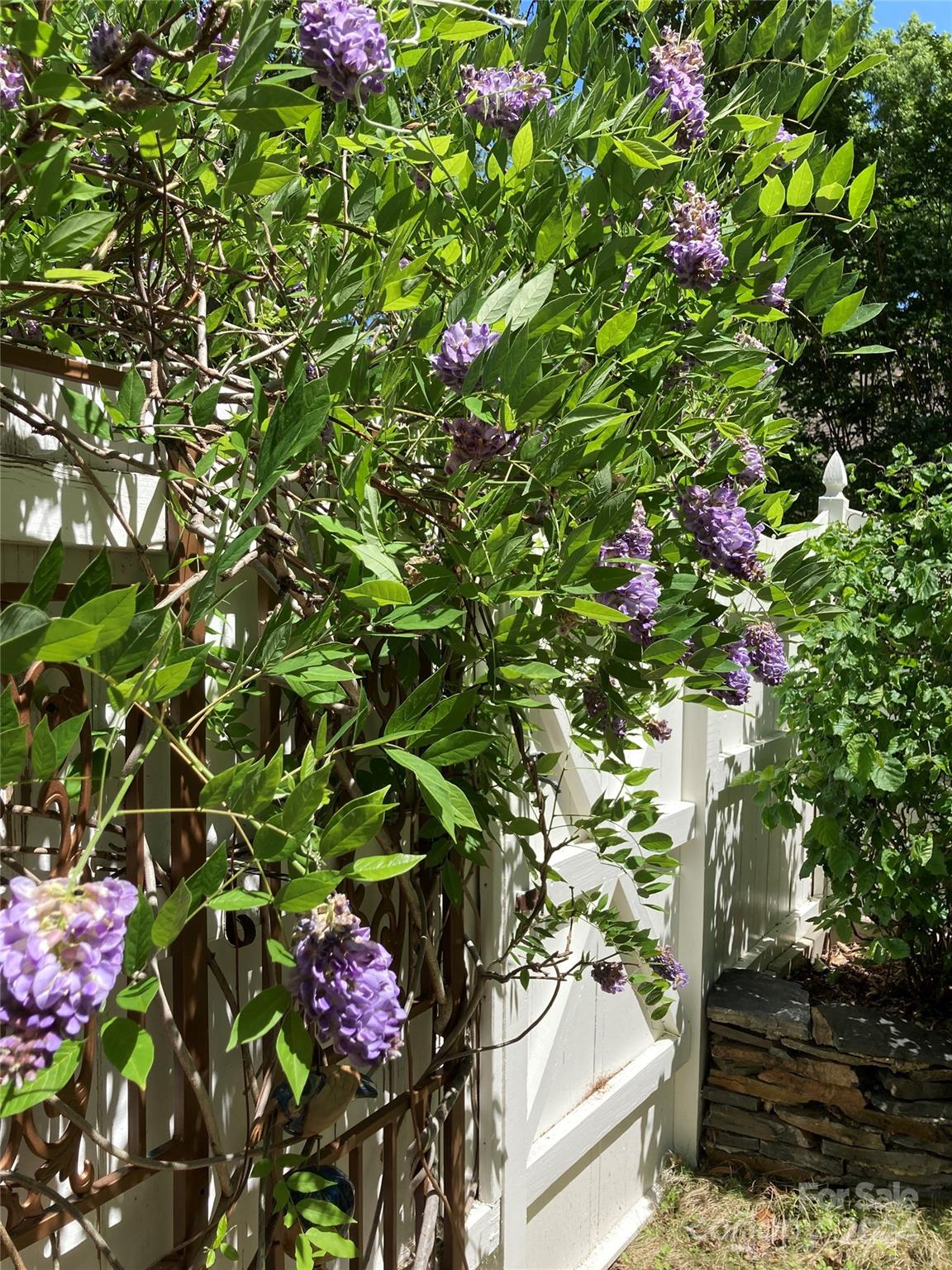 Image 38