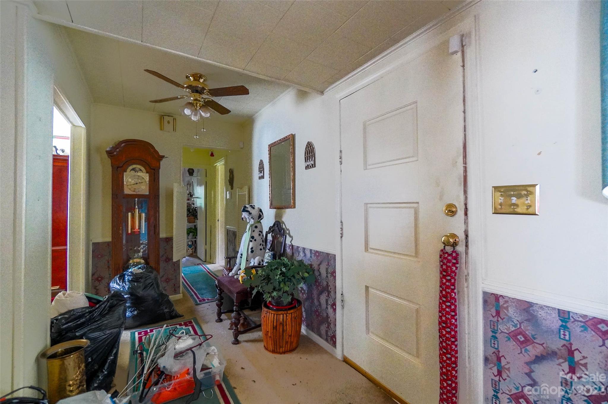 Image 8