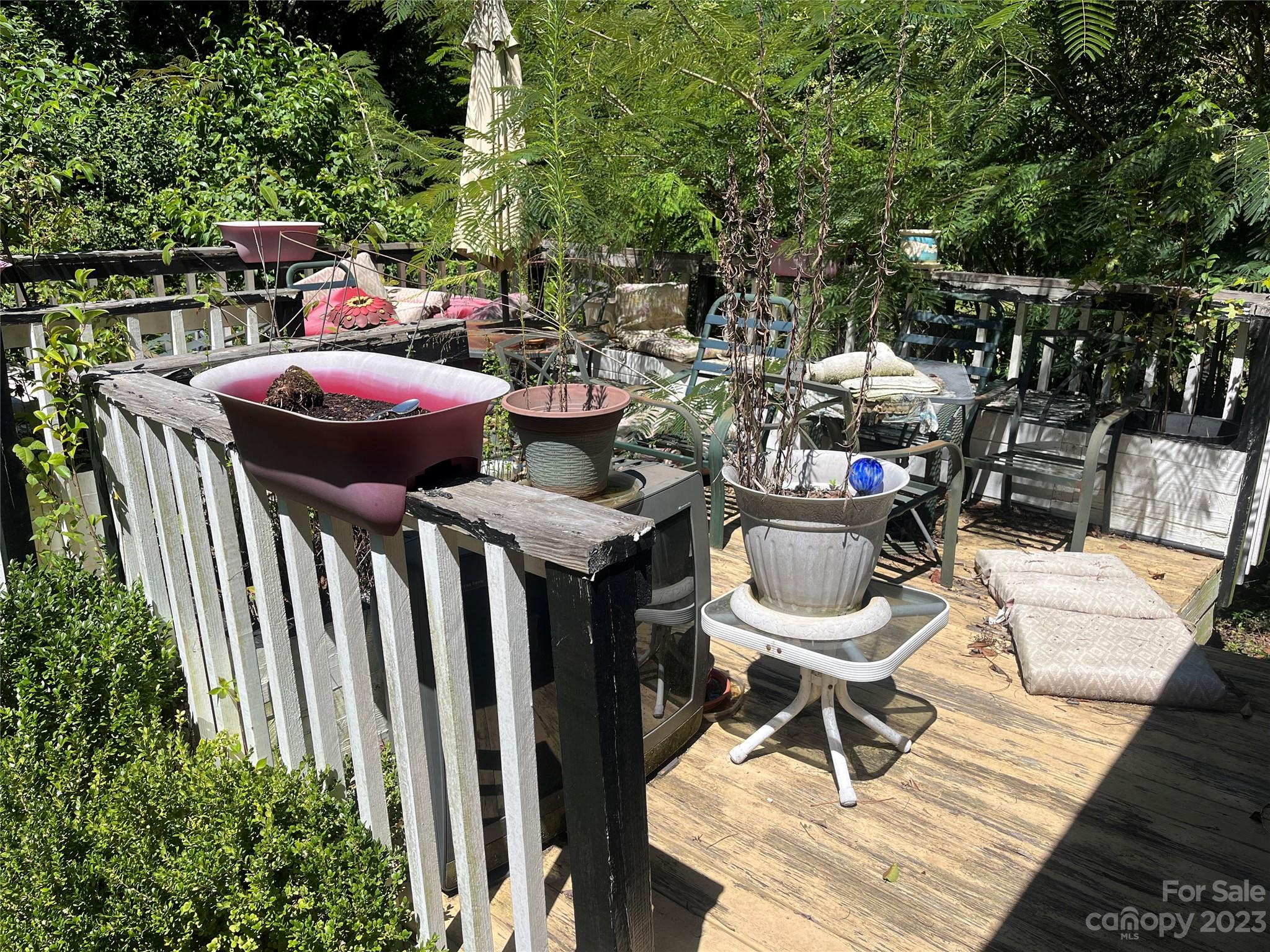 Image 22