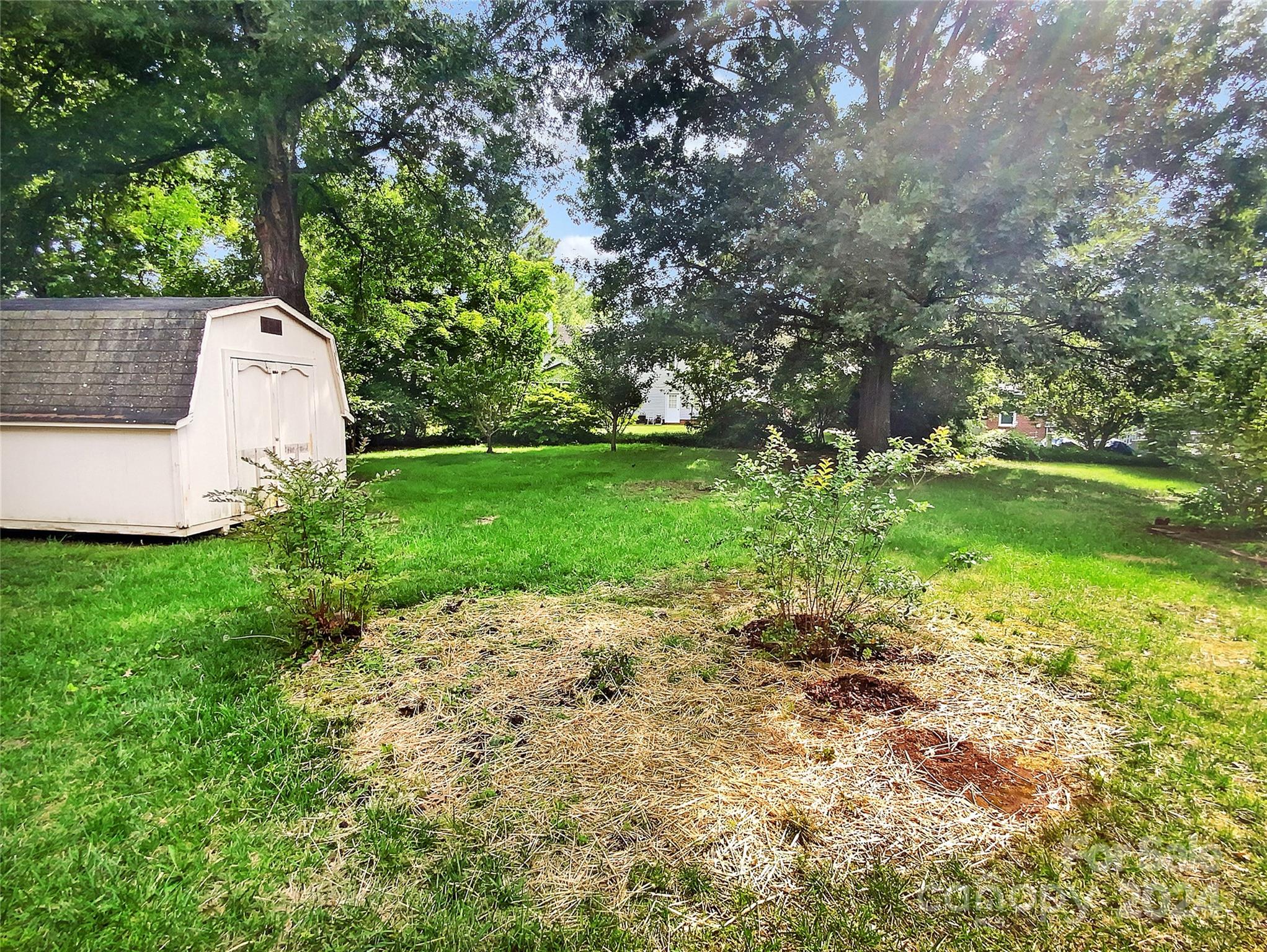 Image 25