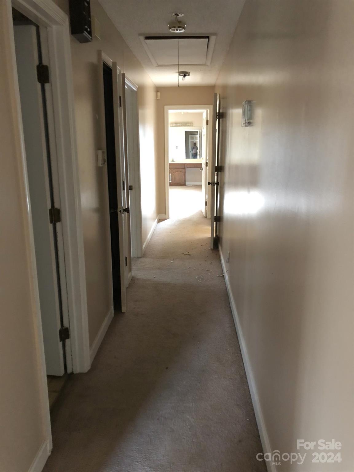 Image 20