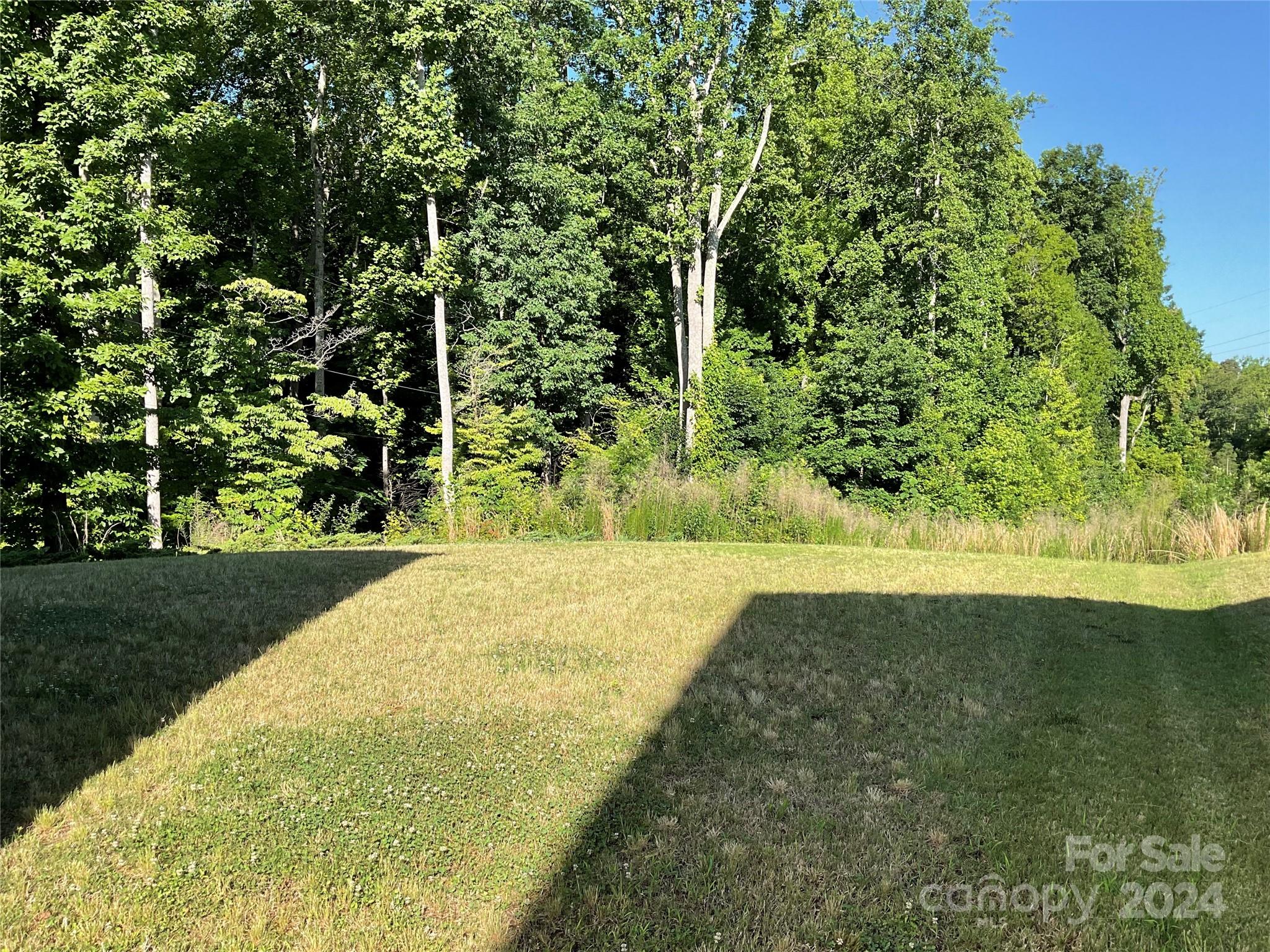 Image 33