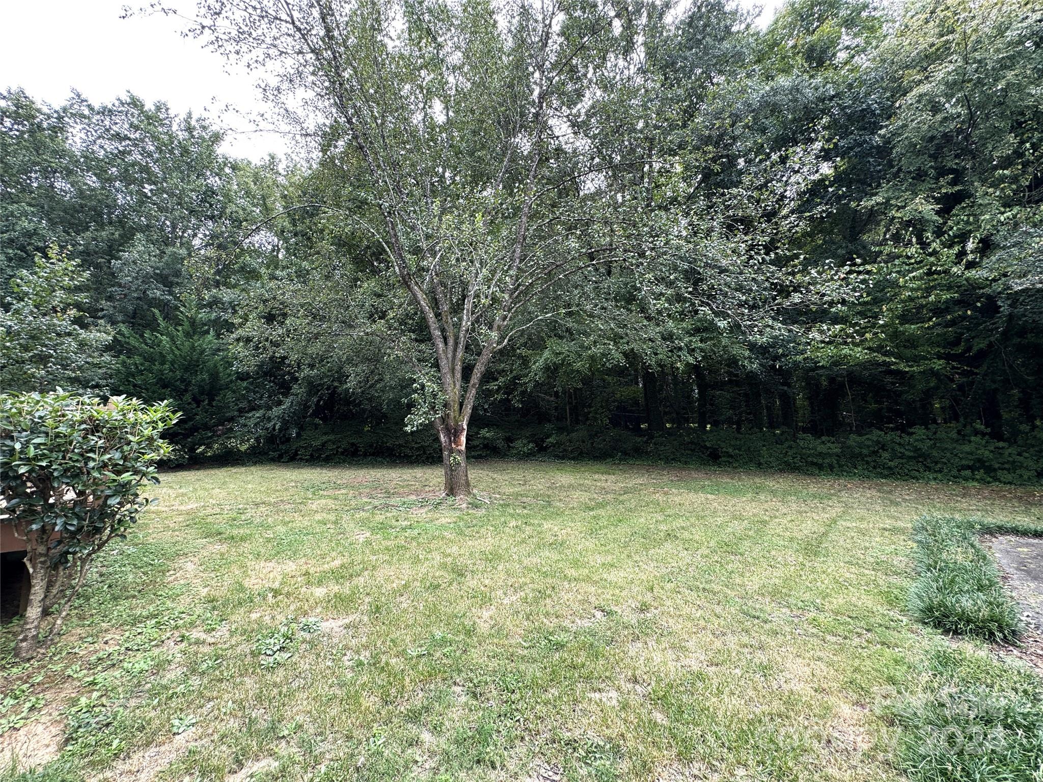 Image 34