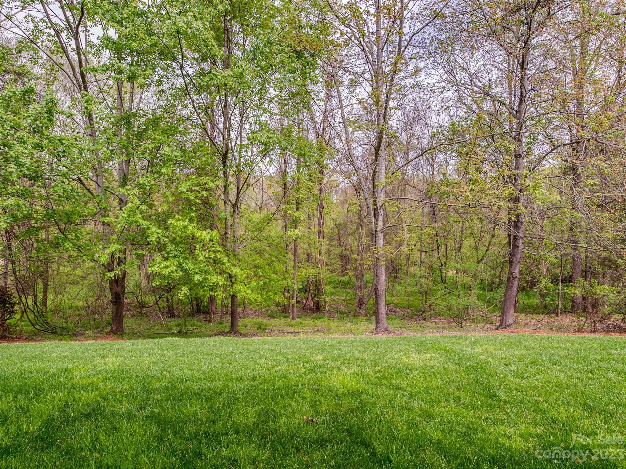 Image 33