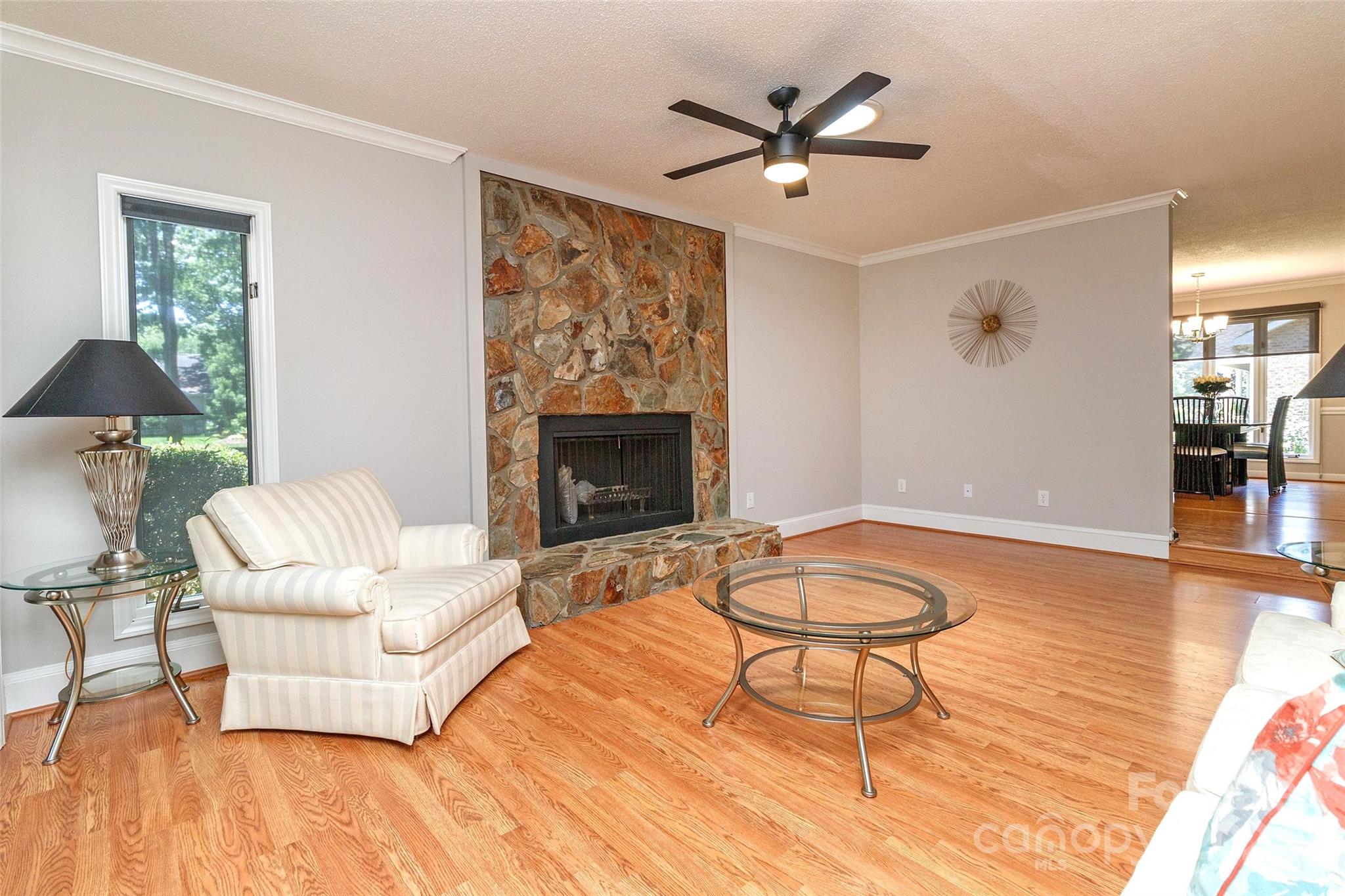 Image 19