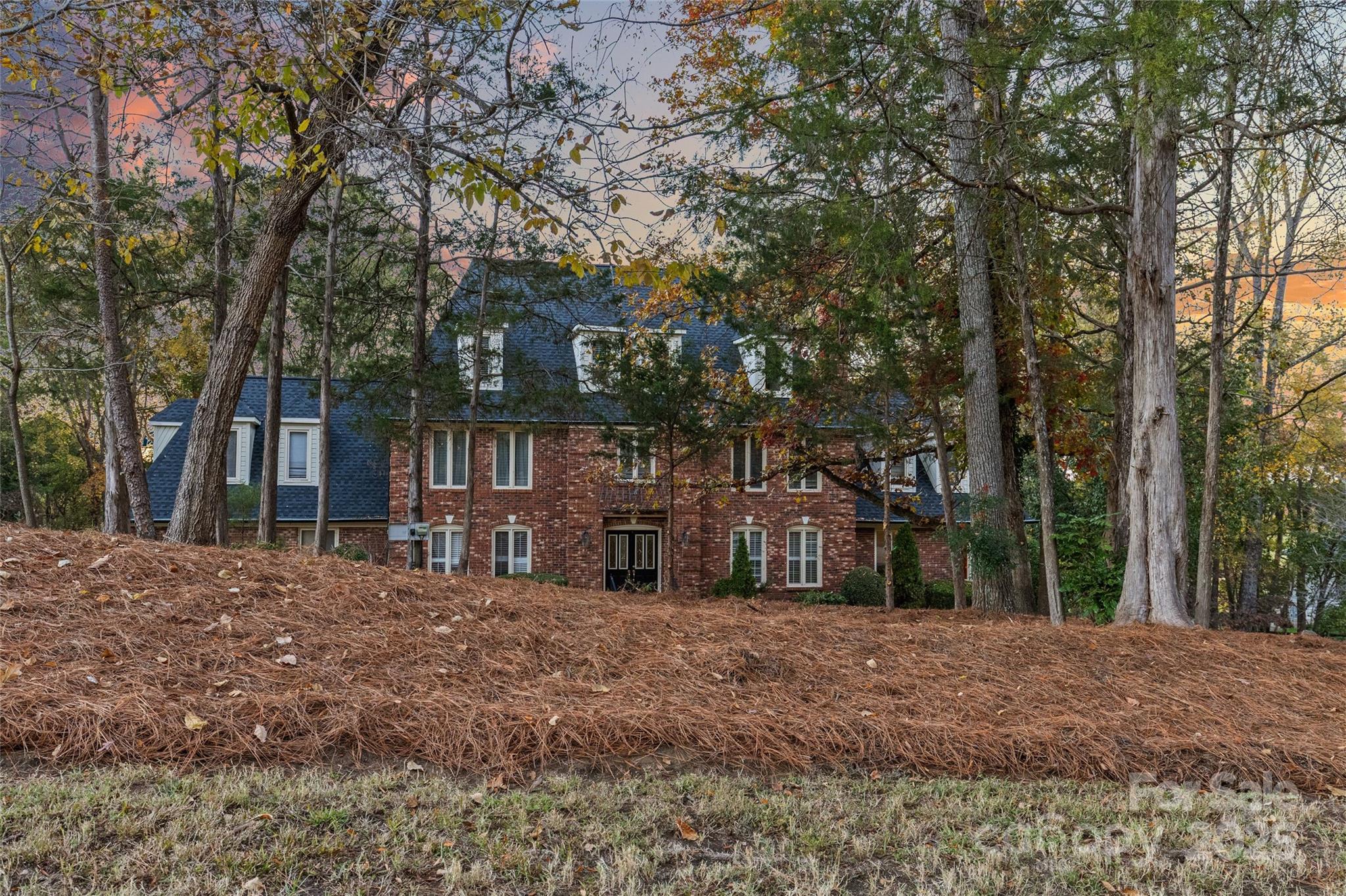 Image 45