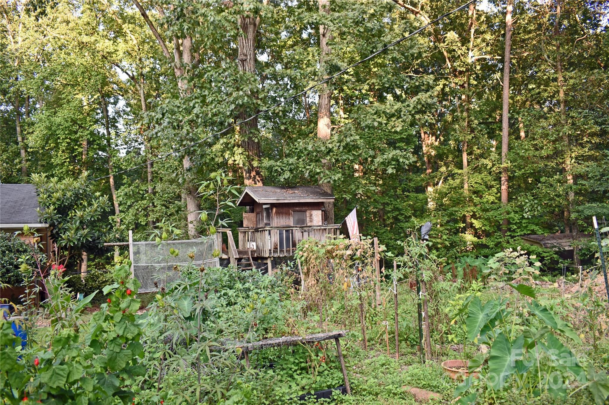 Image 42
