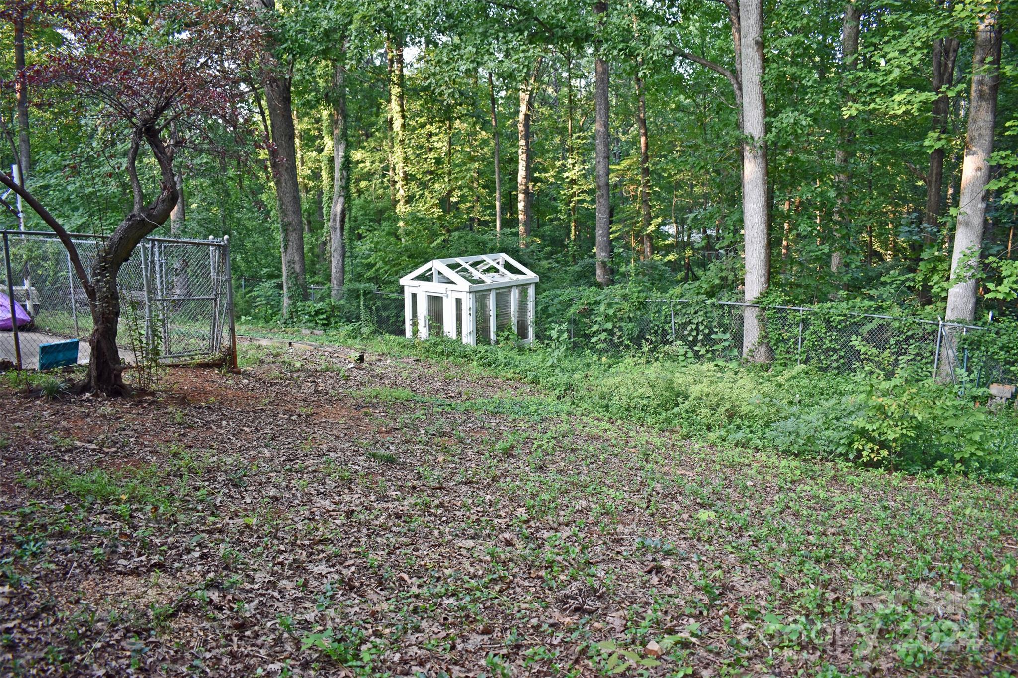 Image 43