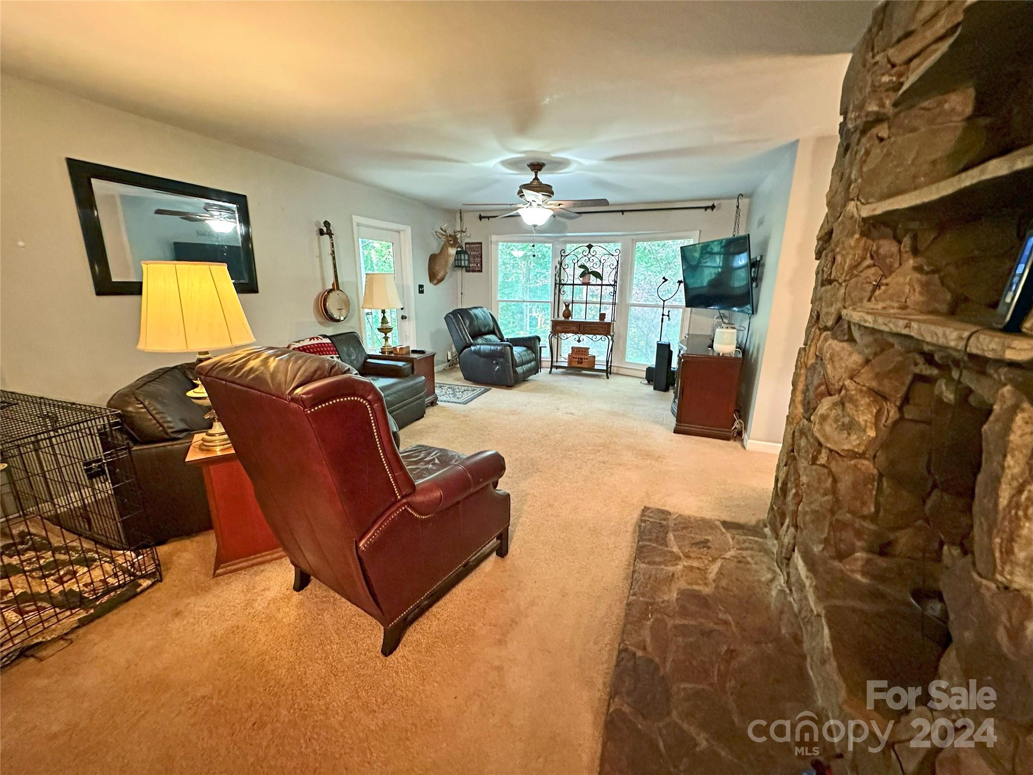 Image 6