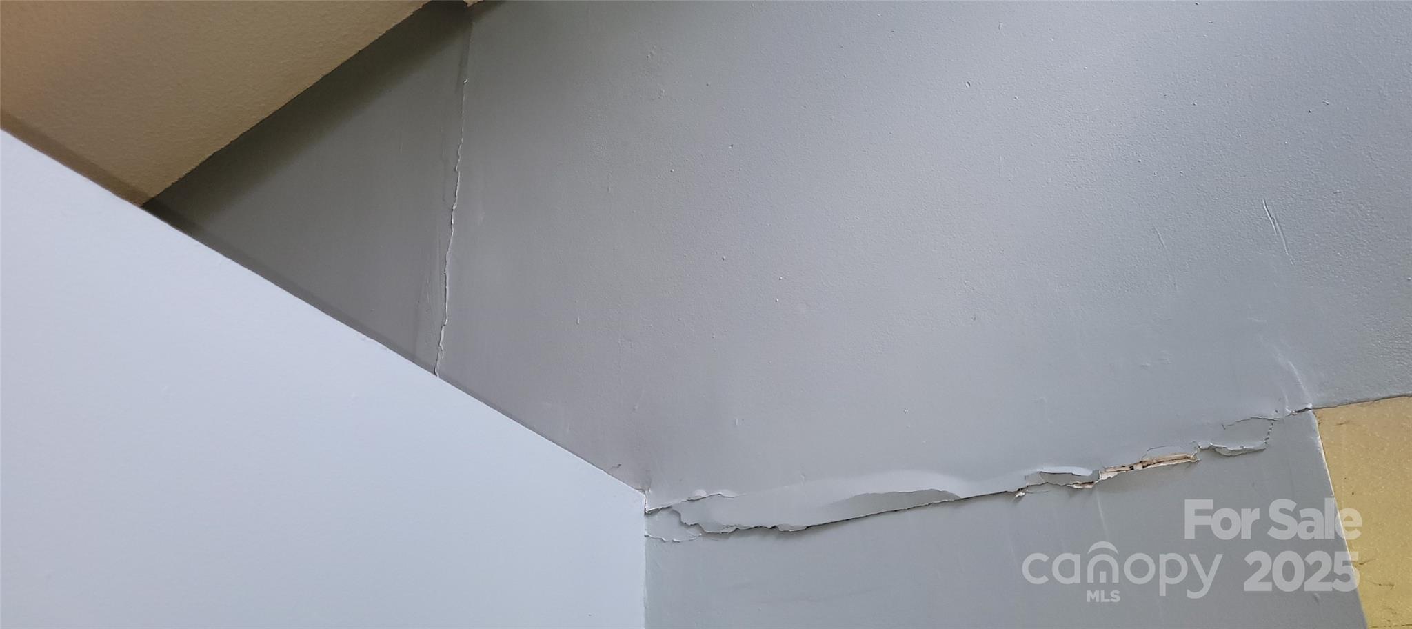 Image 31