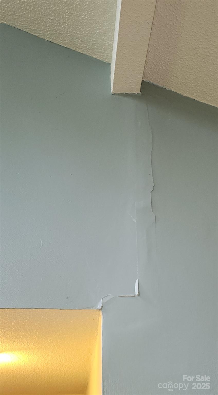 Image 33