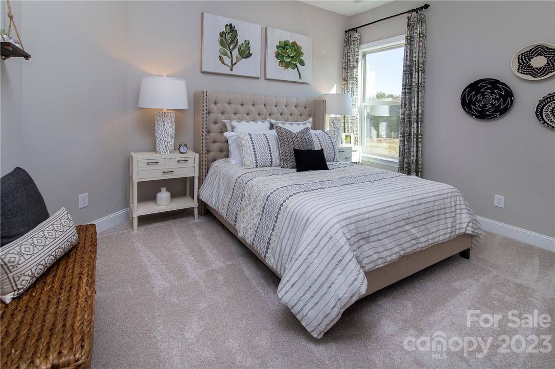 Image 34