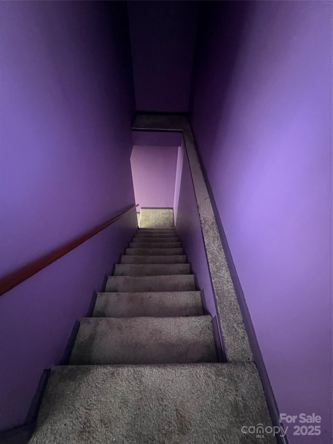 Image 14