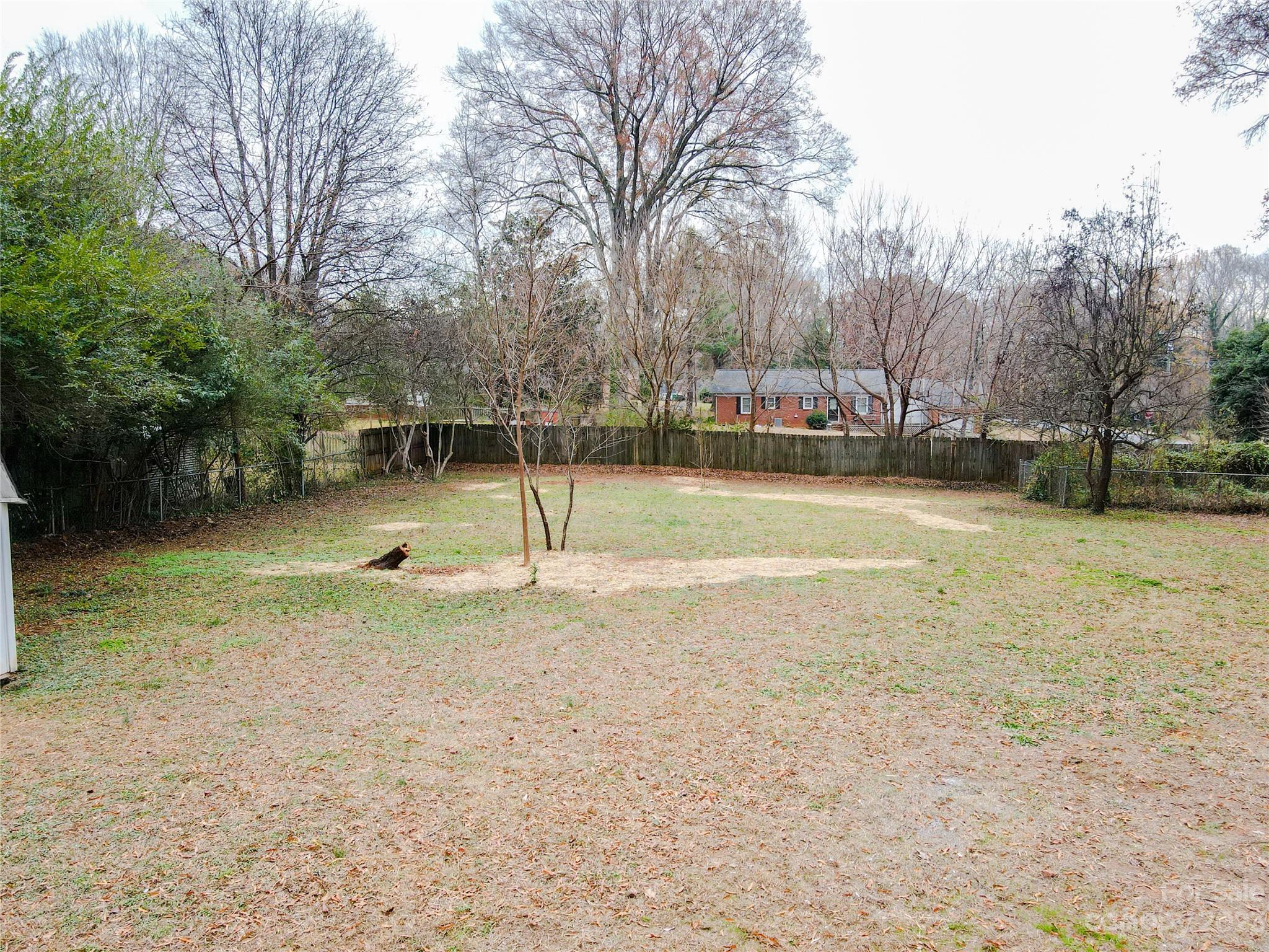 Image 41