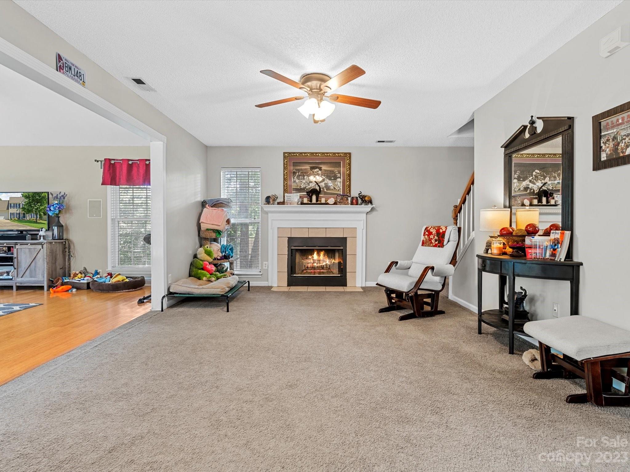 Image 25